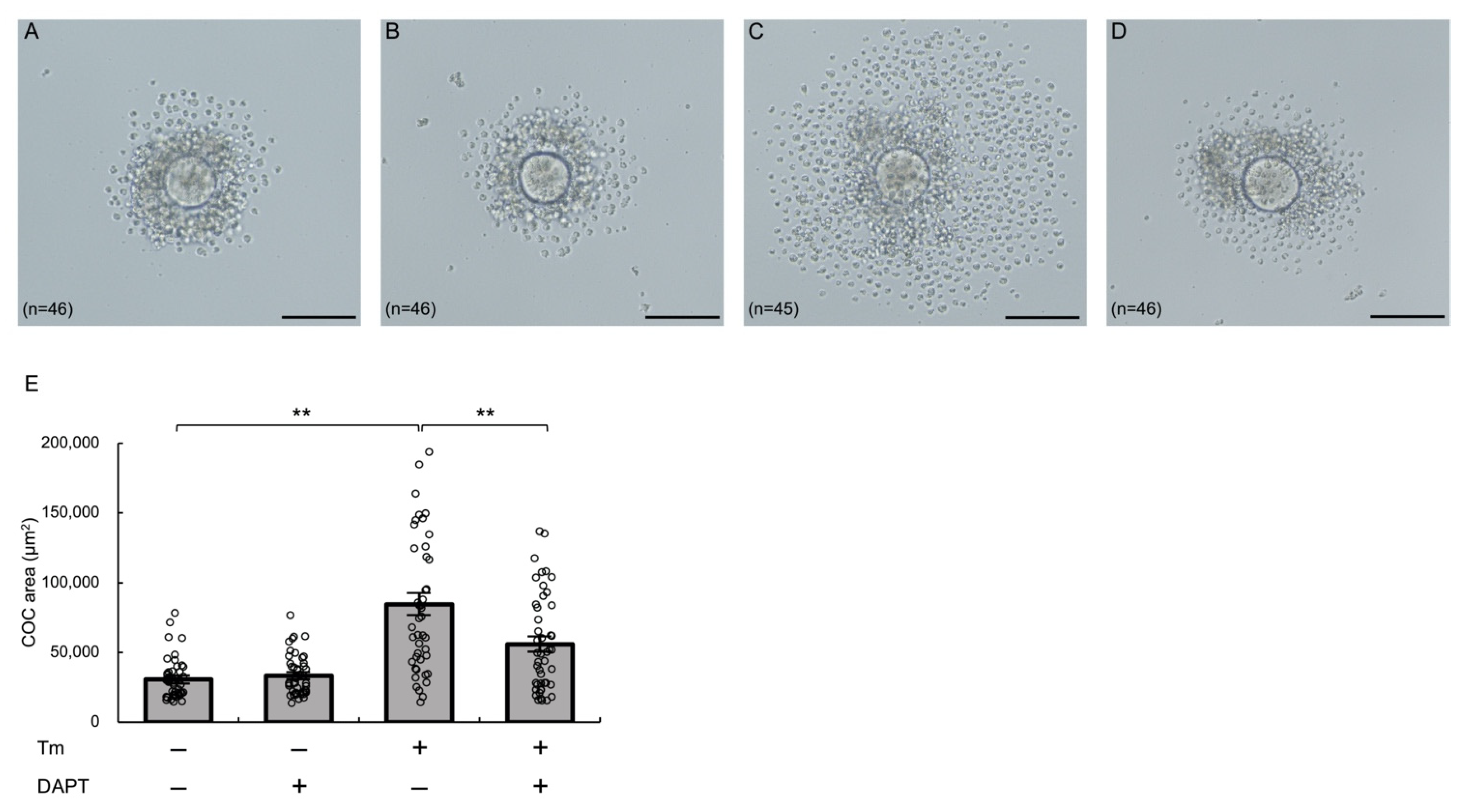 Biomolecules 12 01037 g006