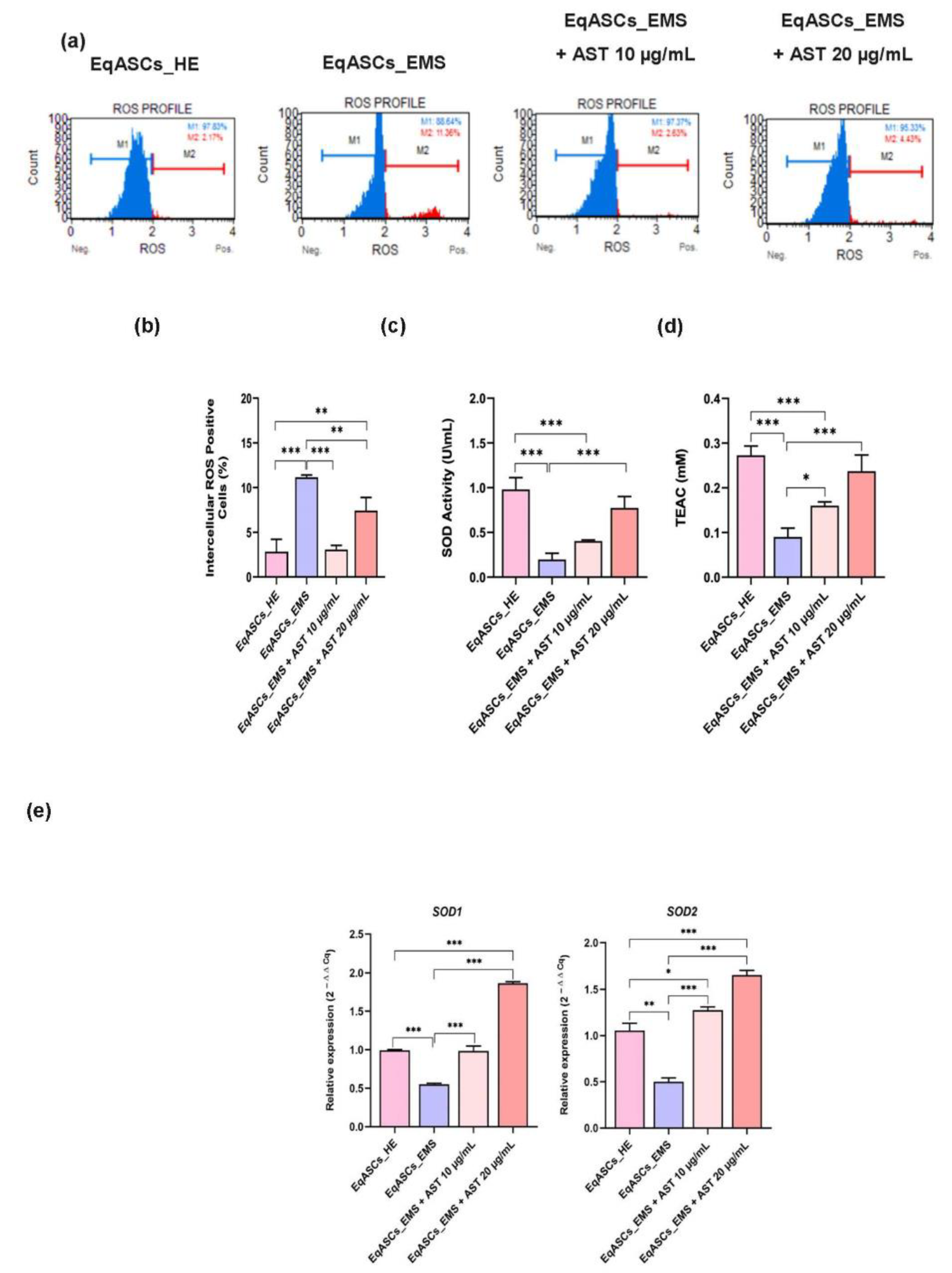 Biomolecules 12 01039 g003