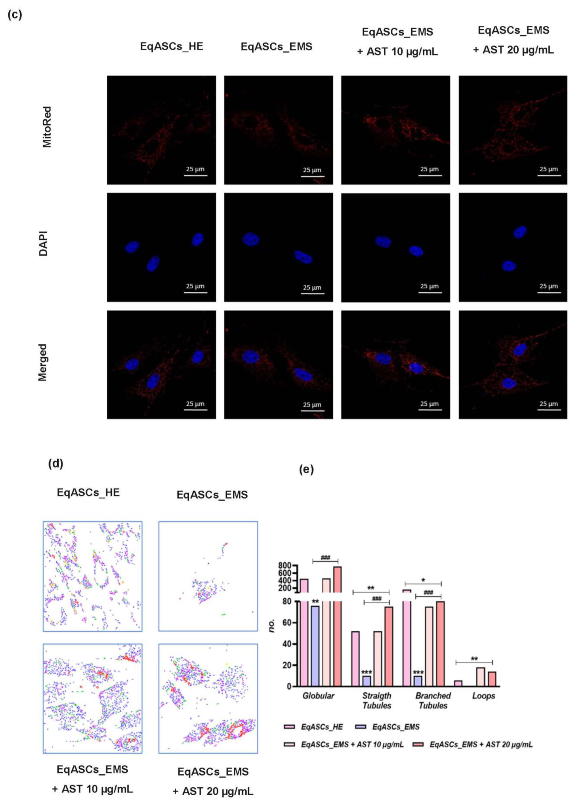 Biomolecules 12 01039 g004b