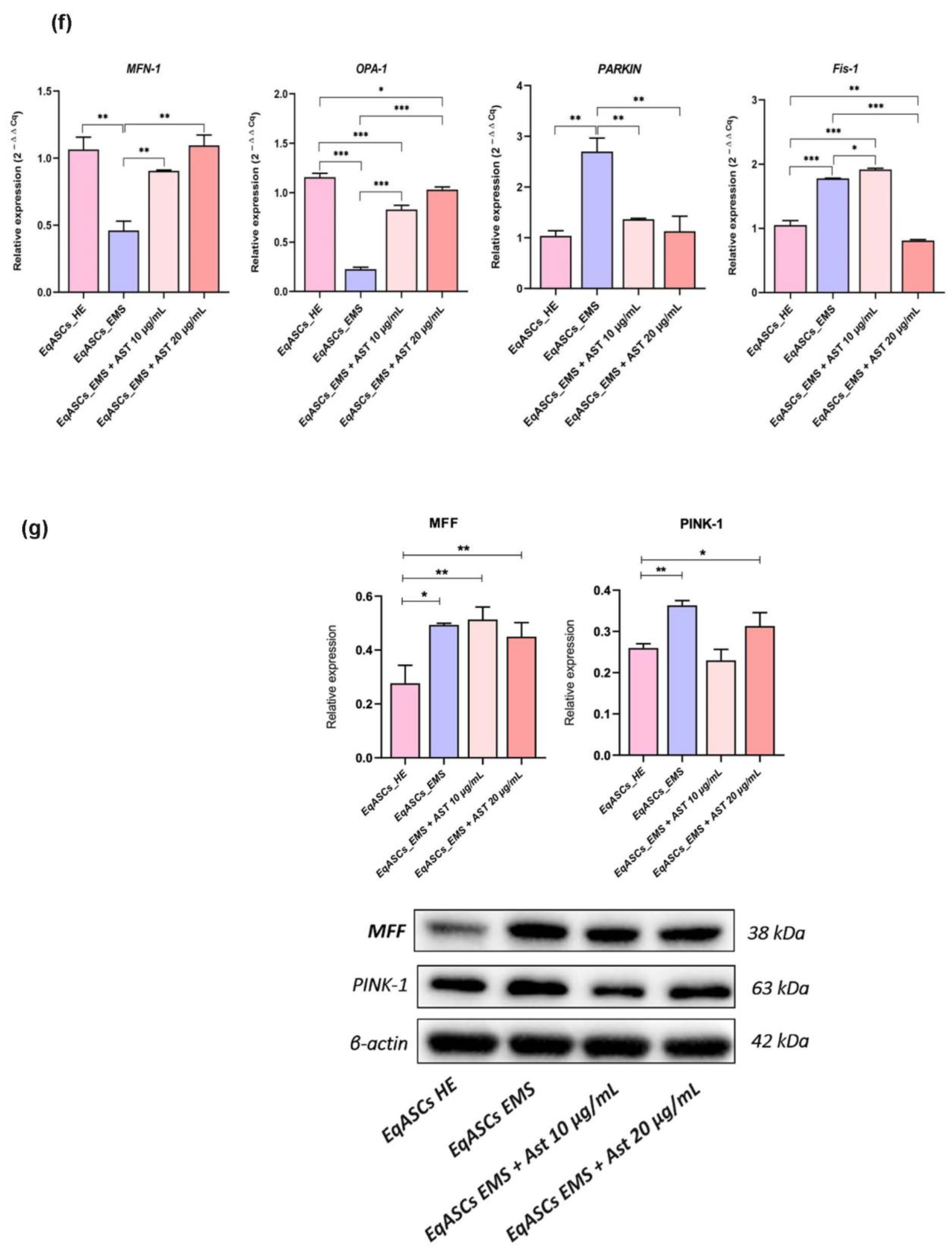 Biomolecules 12 01039 g004c