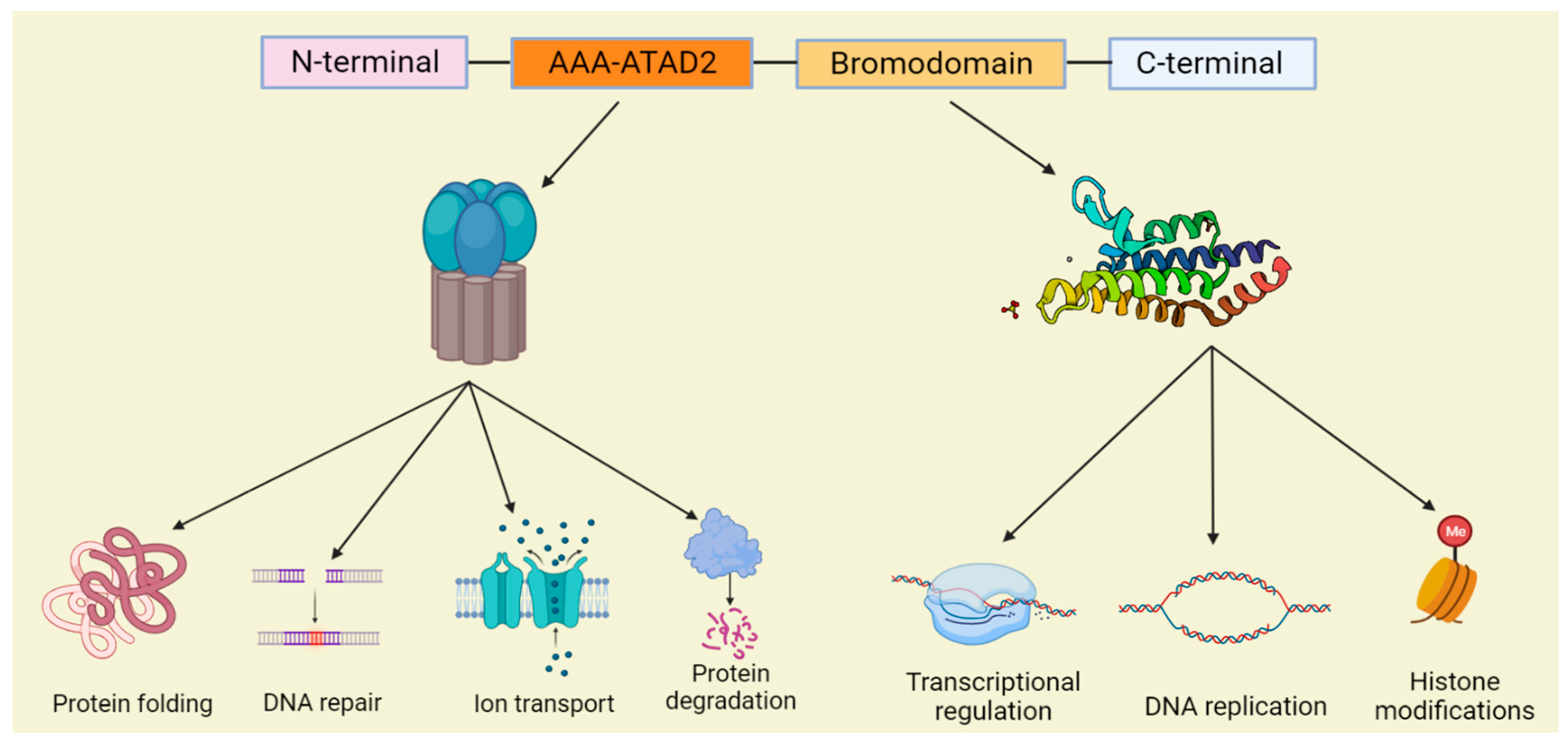 Biomolecules 12 01040 g001 Biomolecules 12 01040 g001
