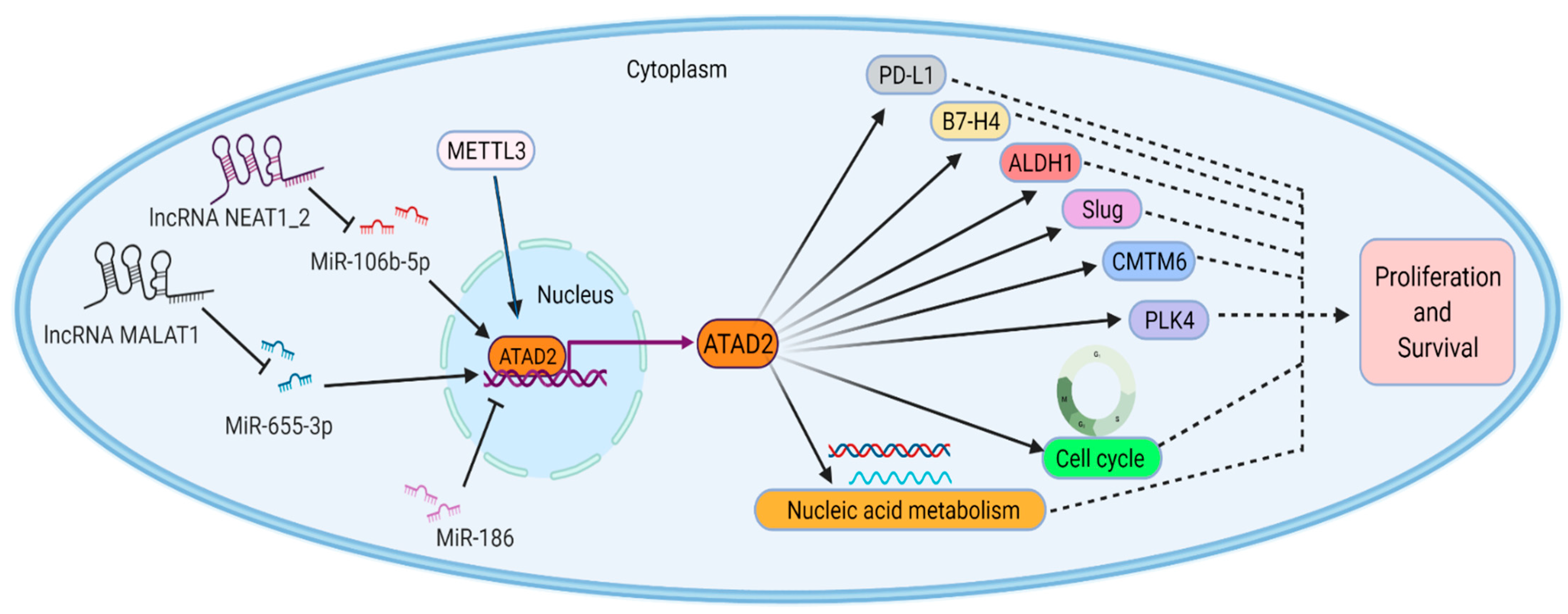 Biomolecules 12 01040 g003 Biomolecules 12 01040 g003