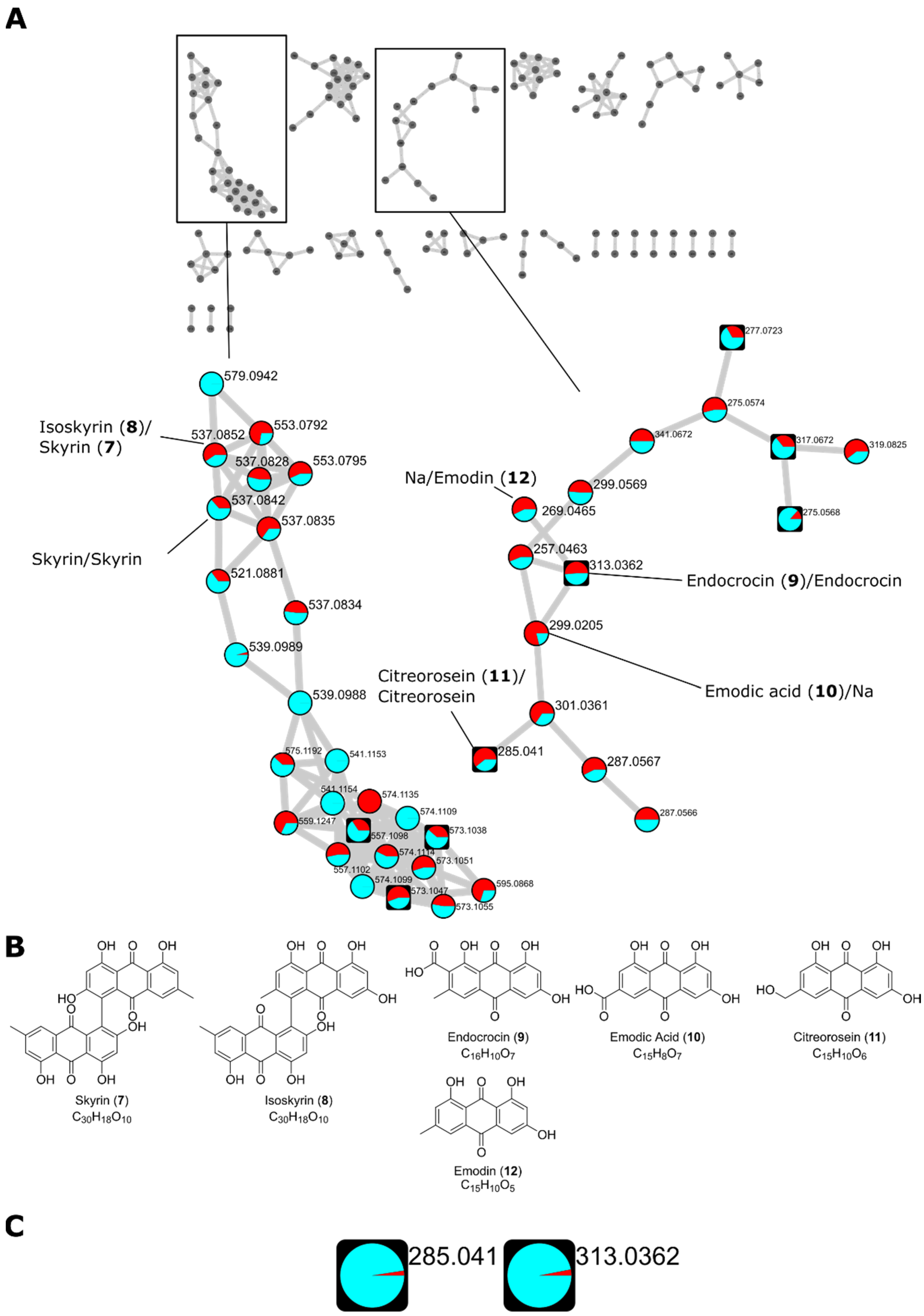Biomolecules 12 01041 g006 Biomolecules 12 01041 g006