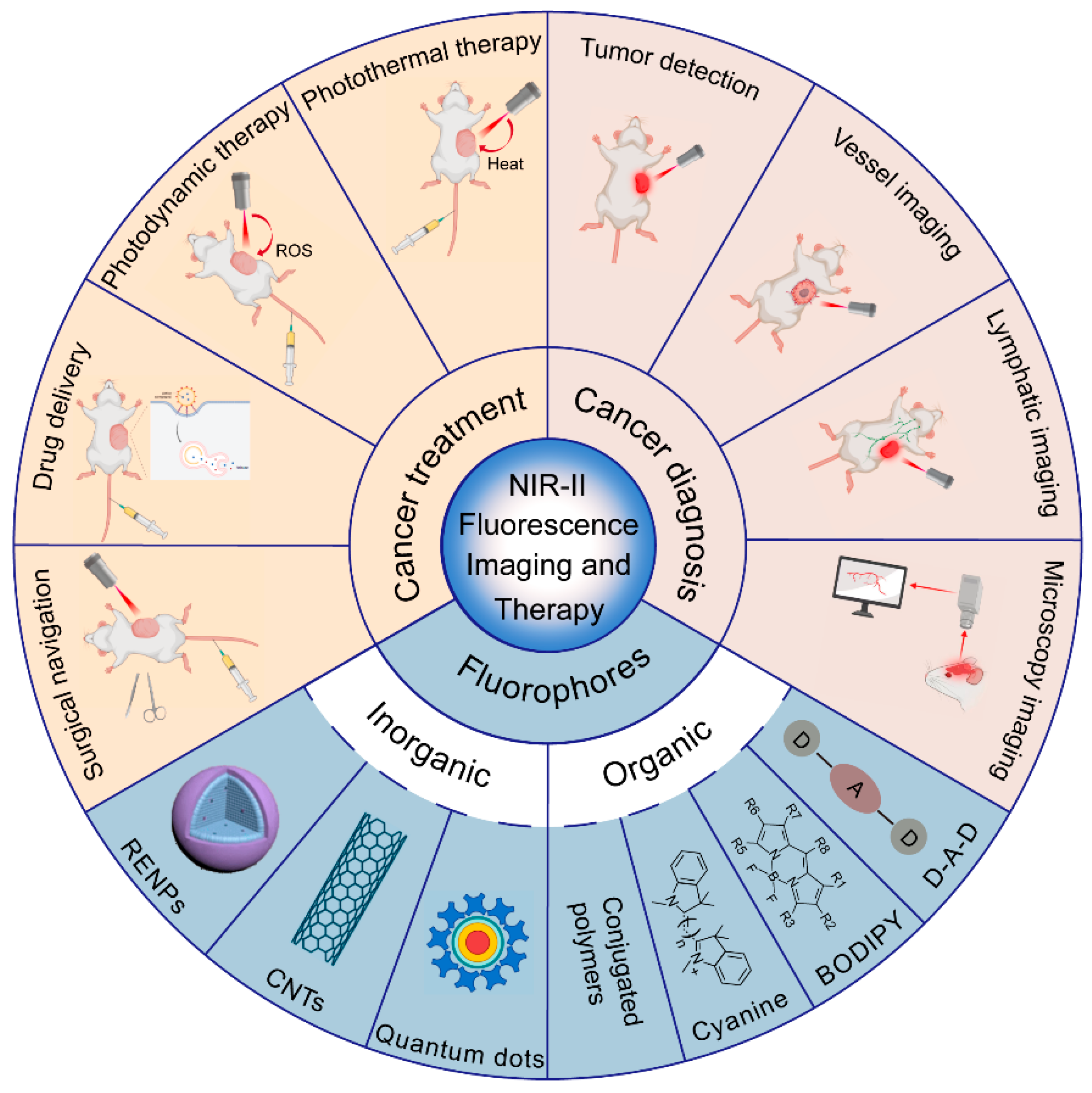 Biomolecules 12 01044 g001