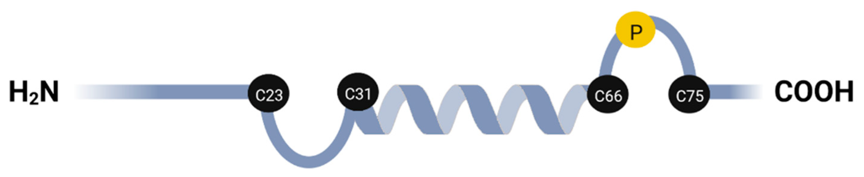 Biomolecules 12 01047 g001