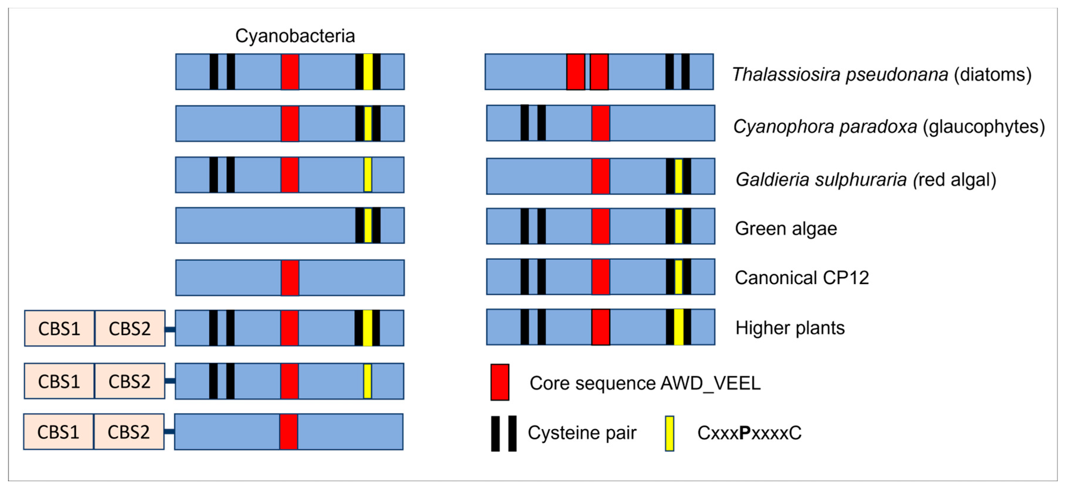 Biomolecules 12 01047 g005