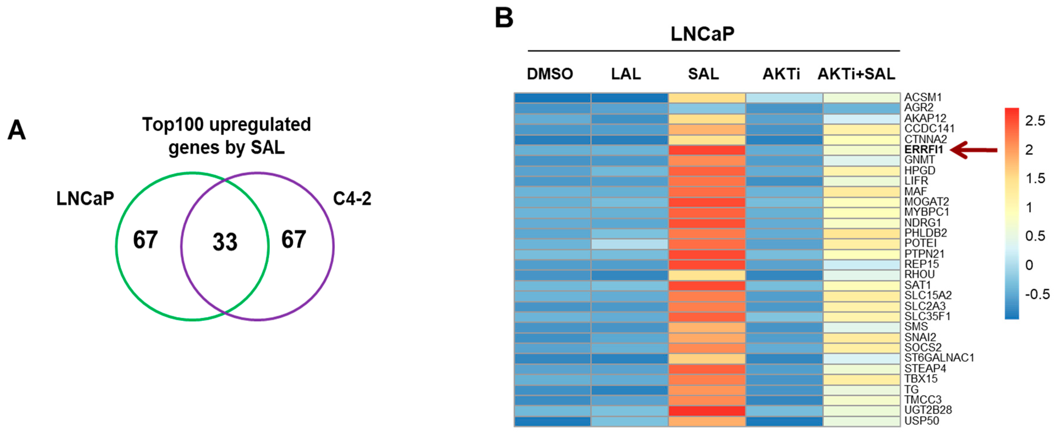 Biomolecules 12 01048 g001a