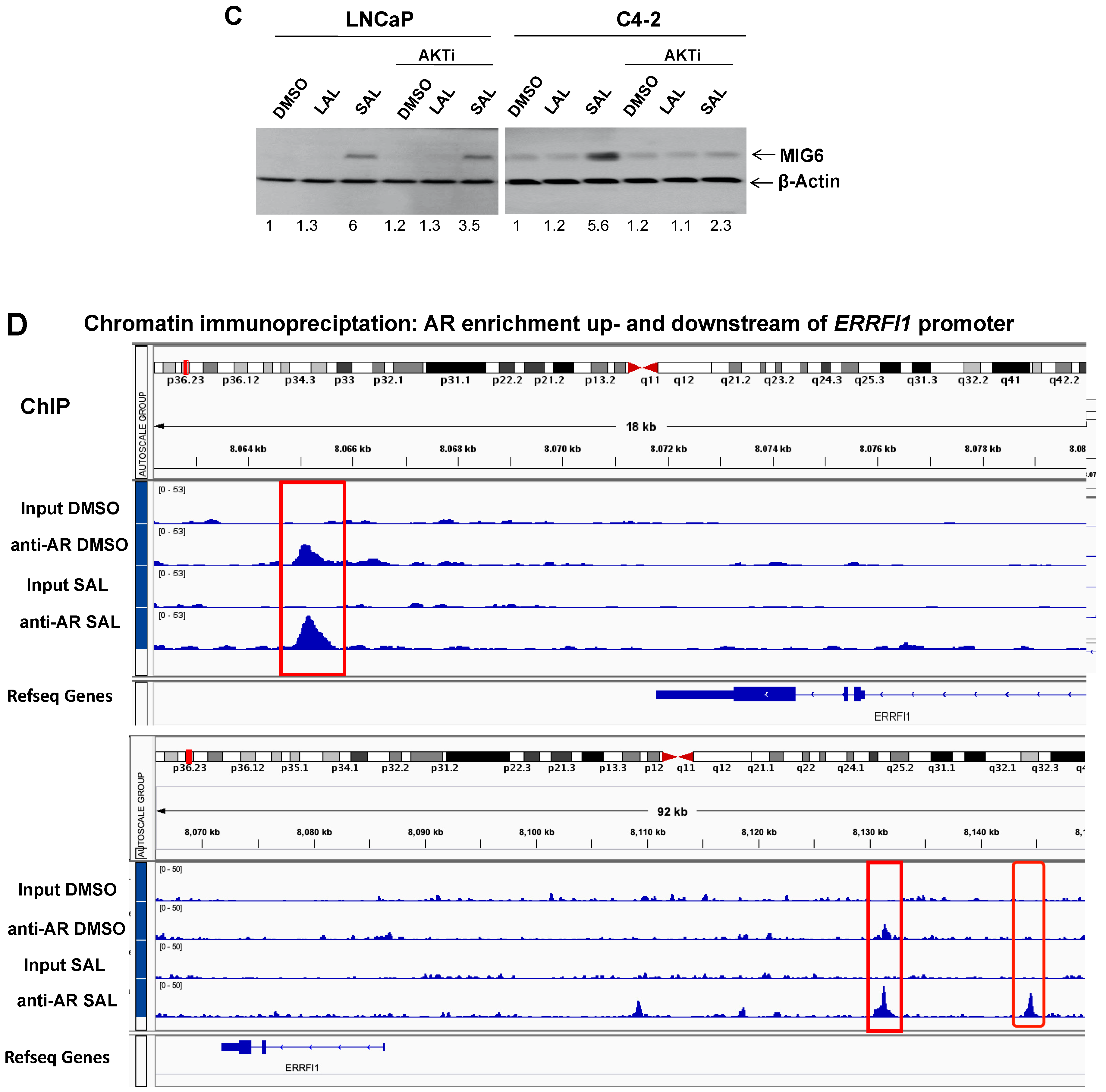 Biomolecules 12 01048 g002b