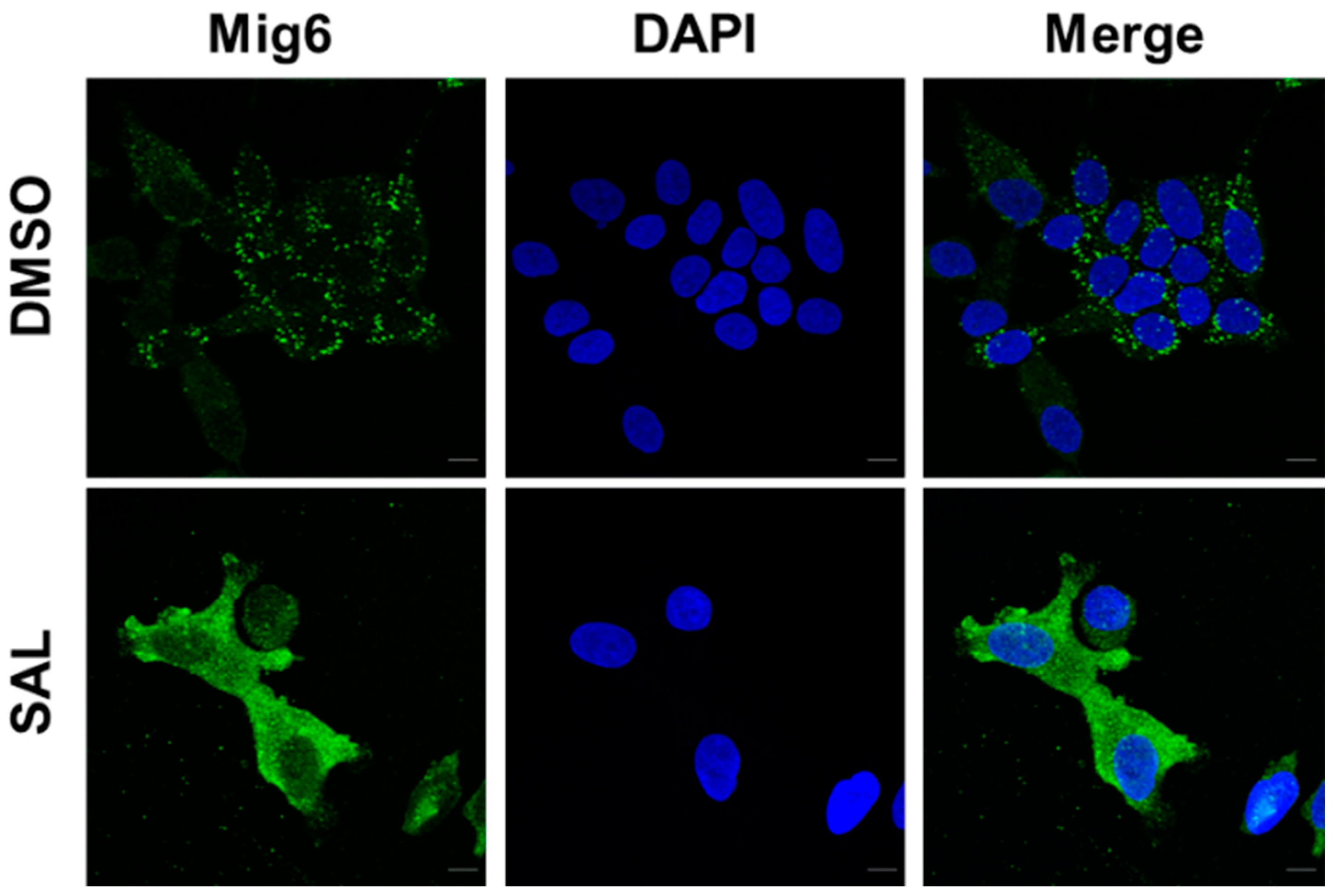Biomolecules 12 01048 g003