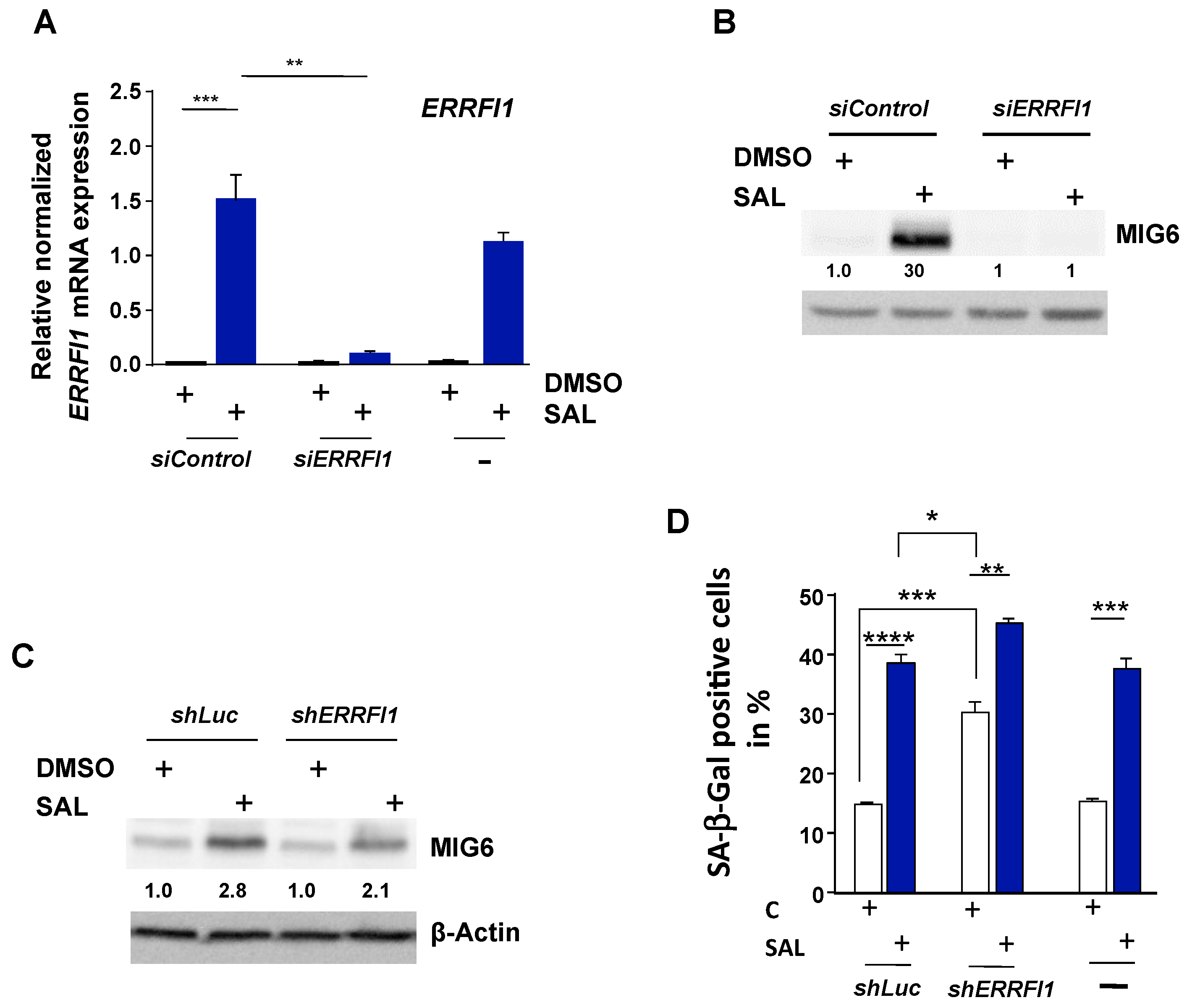 Biomolecules 12 01048 g005