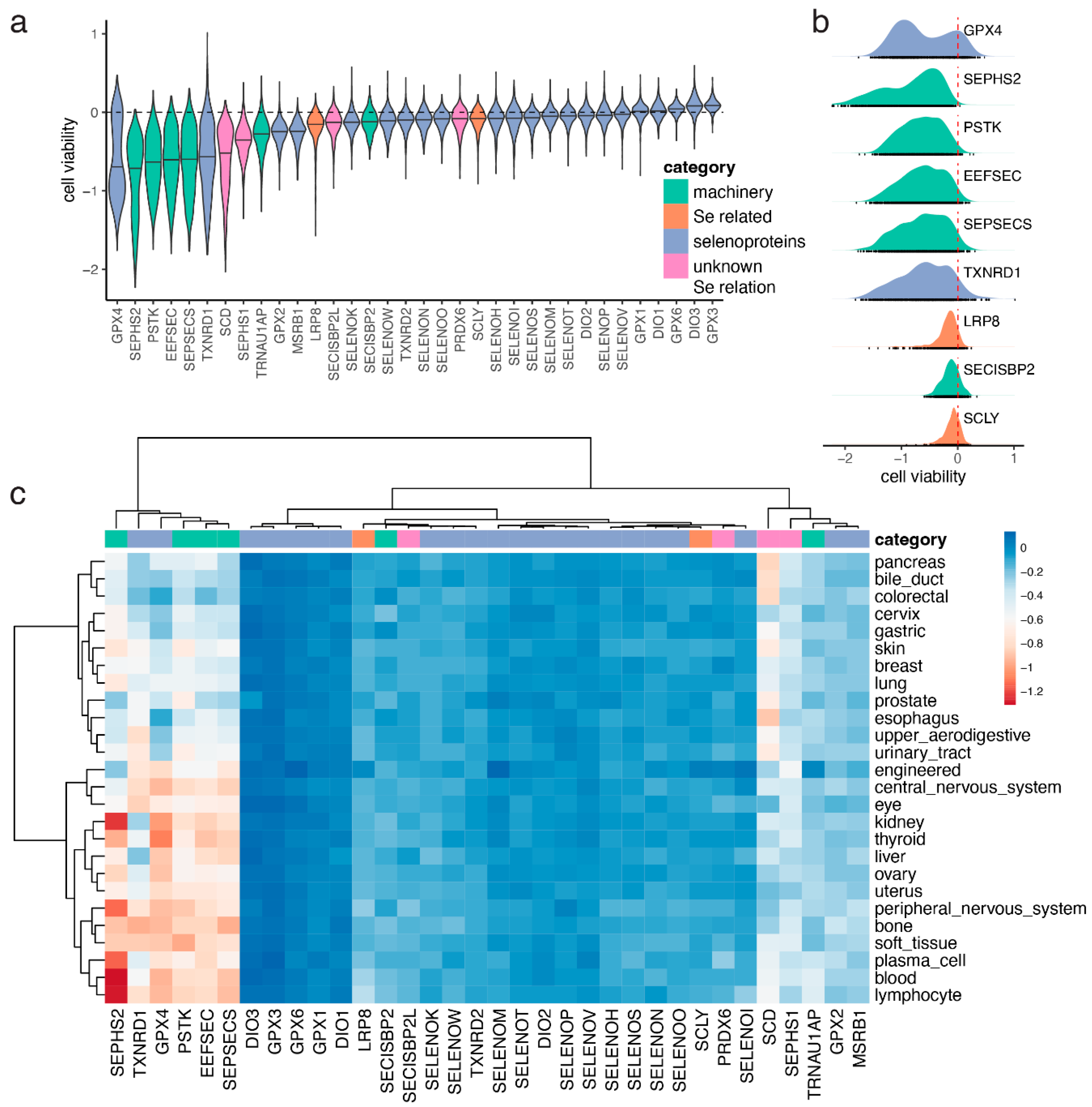 Biomolecules 12 01049 g002