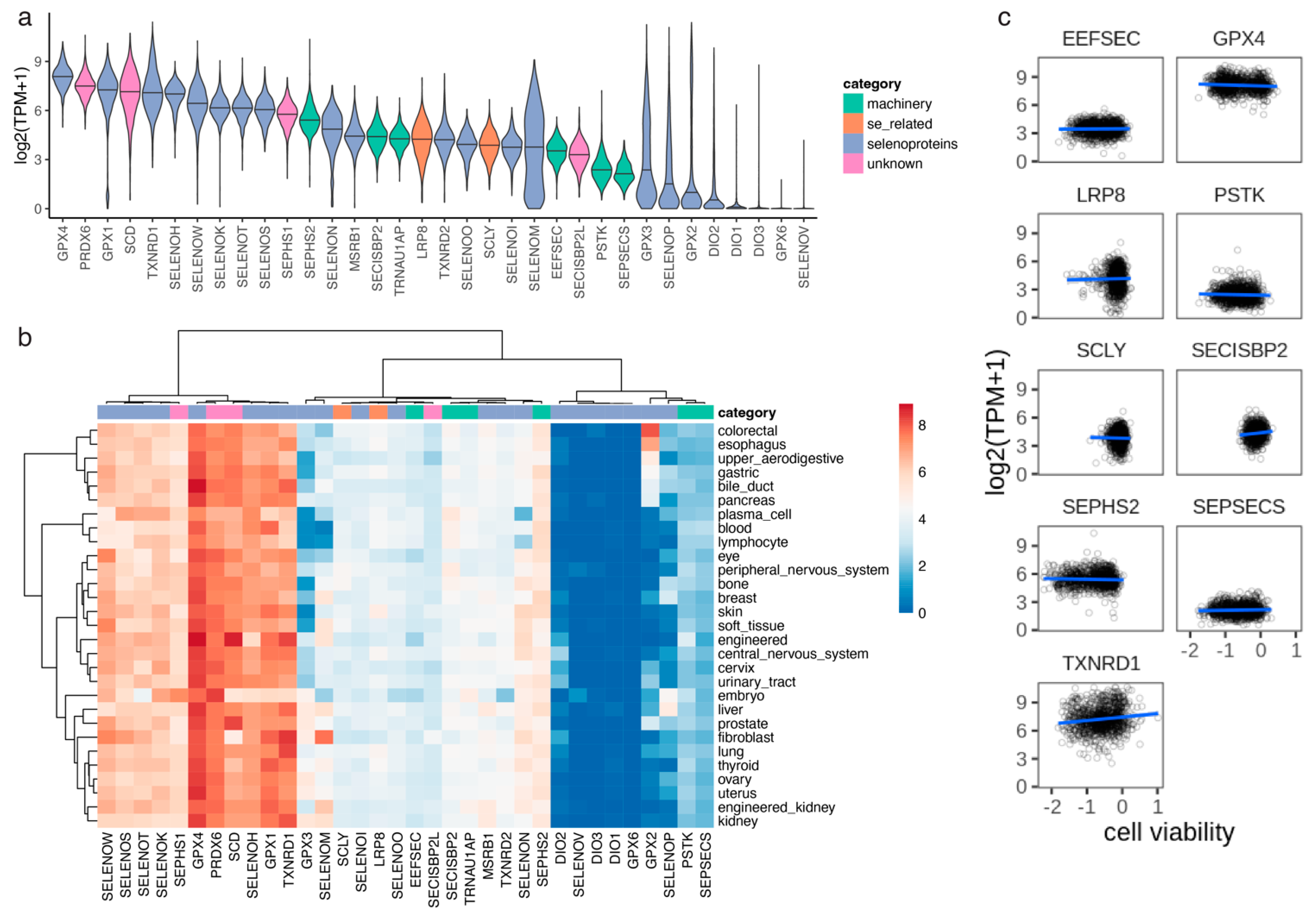 Biomolecules 12 01049 g003