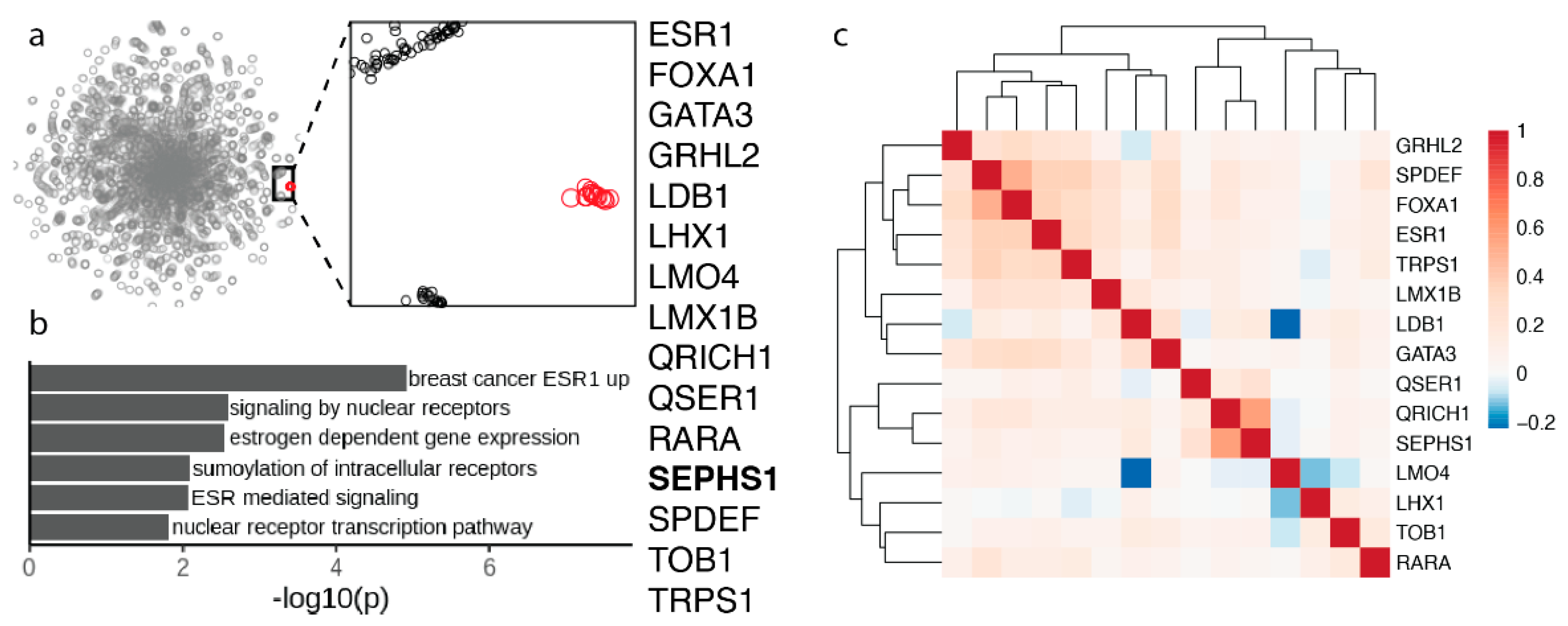 Biomolecules 12 01049 g004