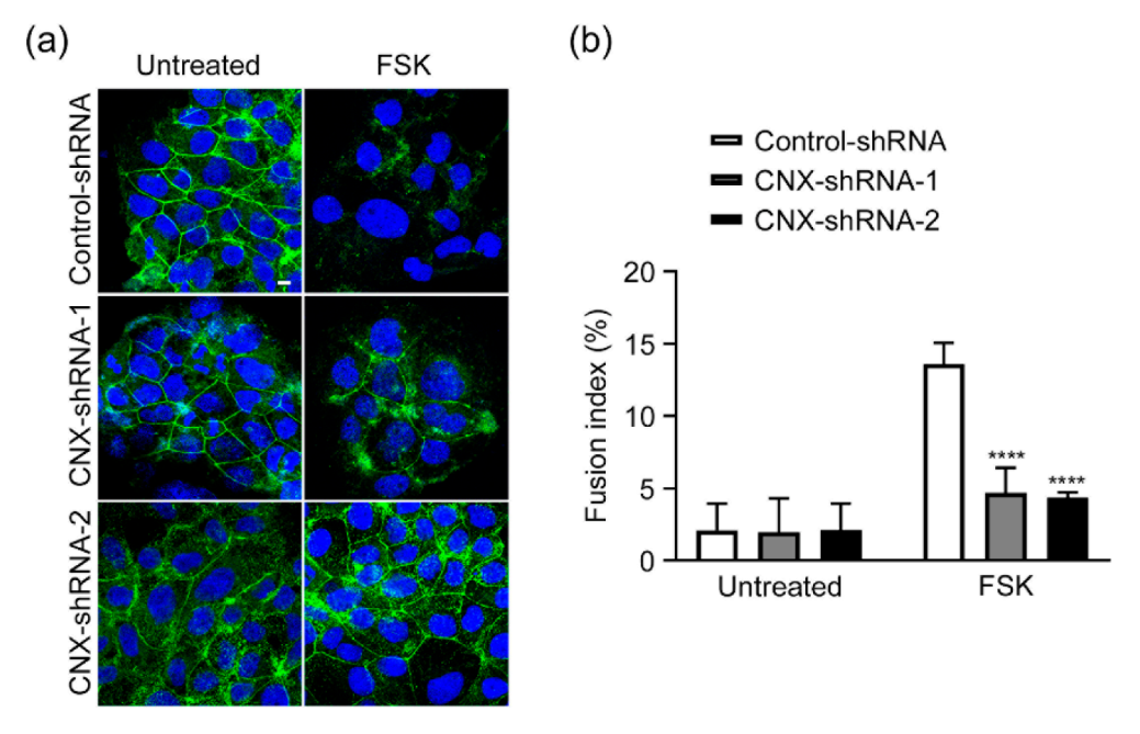 Biomolecules 12 01050 g002 Biomolecules 12 01050 g002