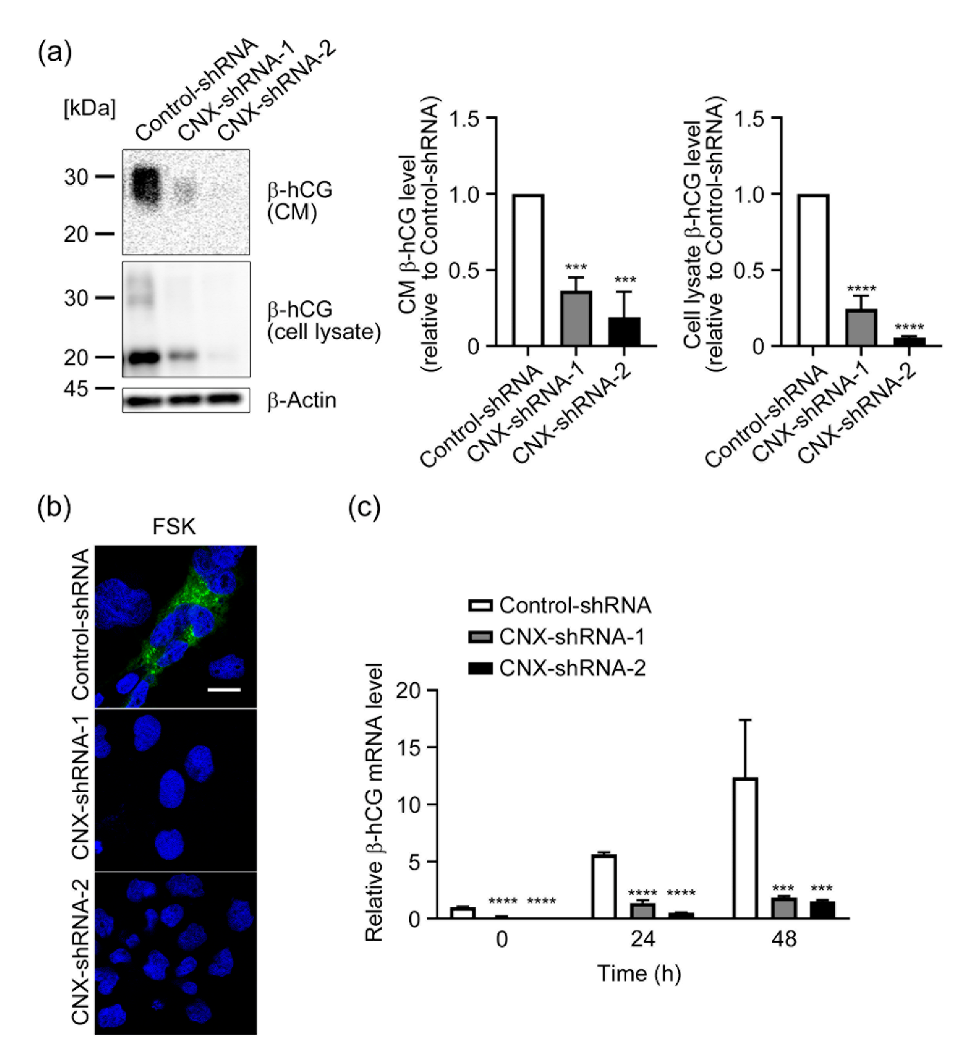 Biomolecules 12 01050 g003 Biomolecules 12 01050 g003