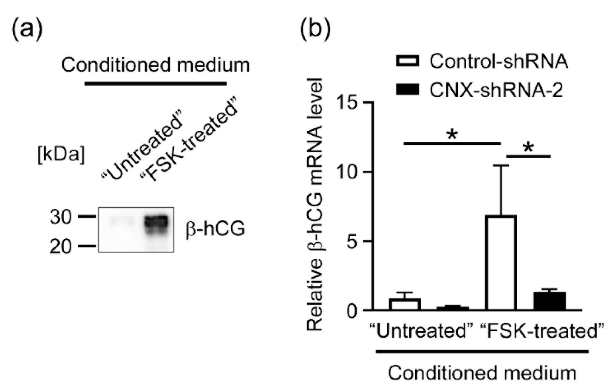 Biomolecules 12 01050 g005 Biomolecules 12 01050 g005