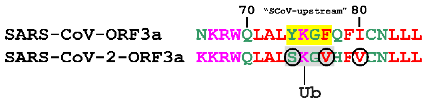 Biomolecules 12 01052 g005 550