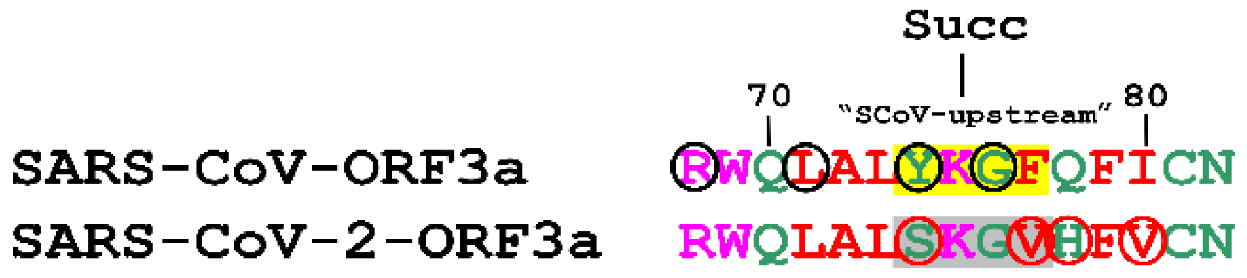 Biomolecules 12 01052 g006 550