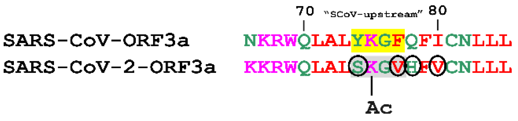 Biomolecules 12 01052 g008 550