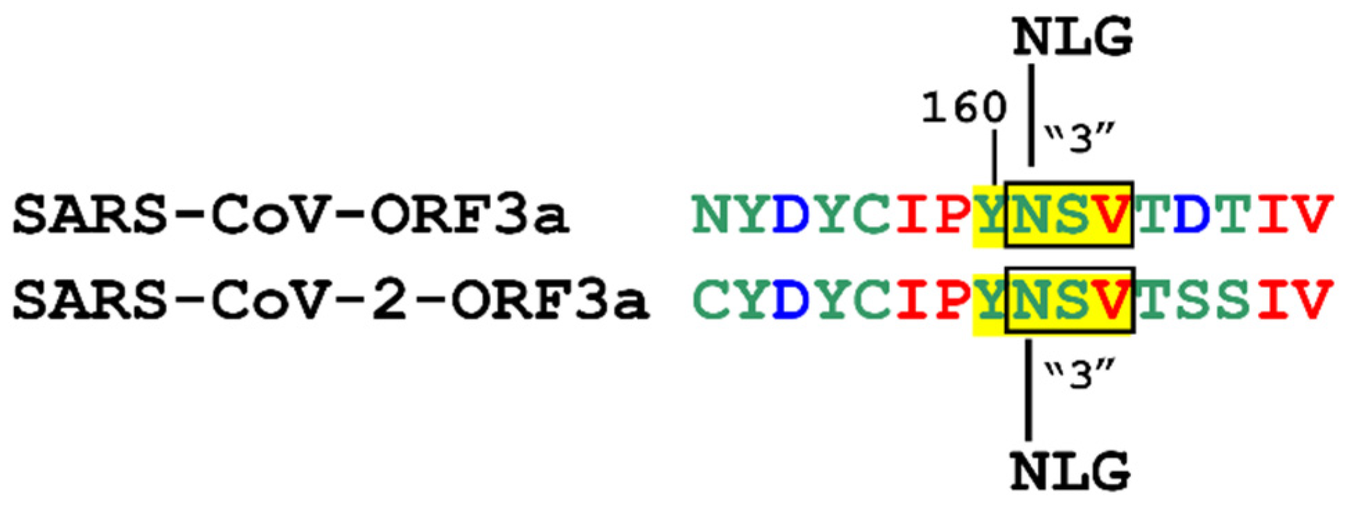 Biomolecules 12 01052 g010 550