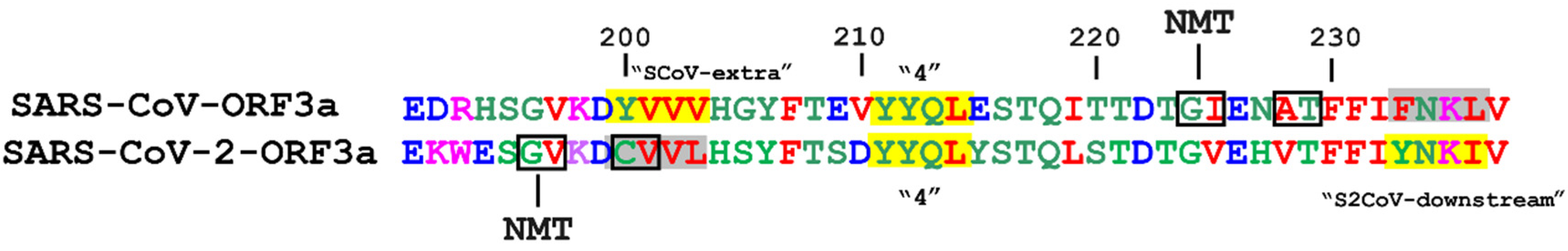 Biomolecules 12 01052 g012 550