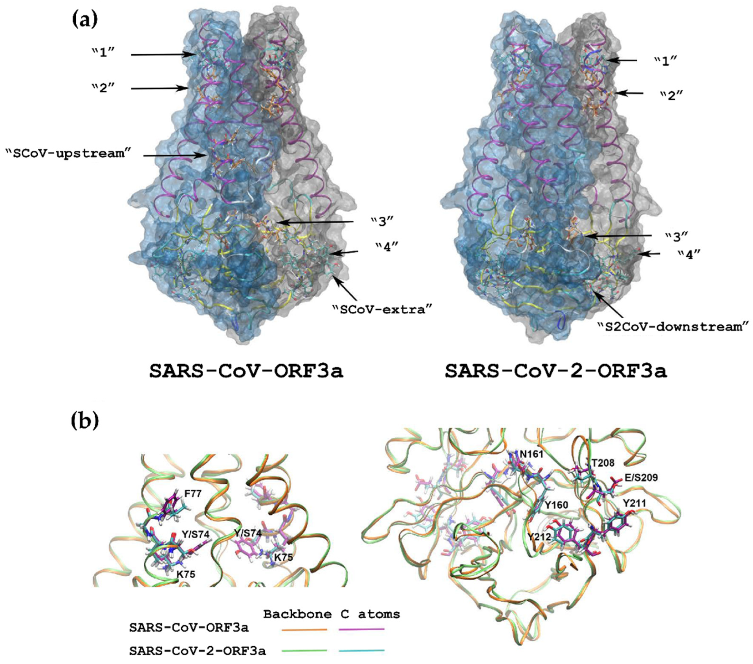 Biomolecules 12 01052 g014 550