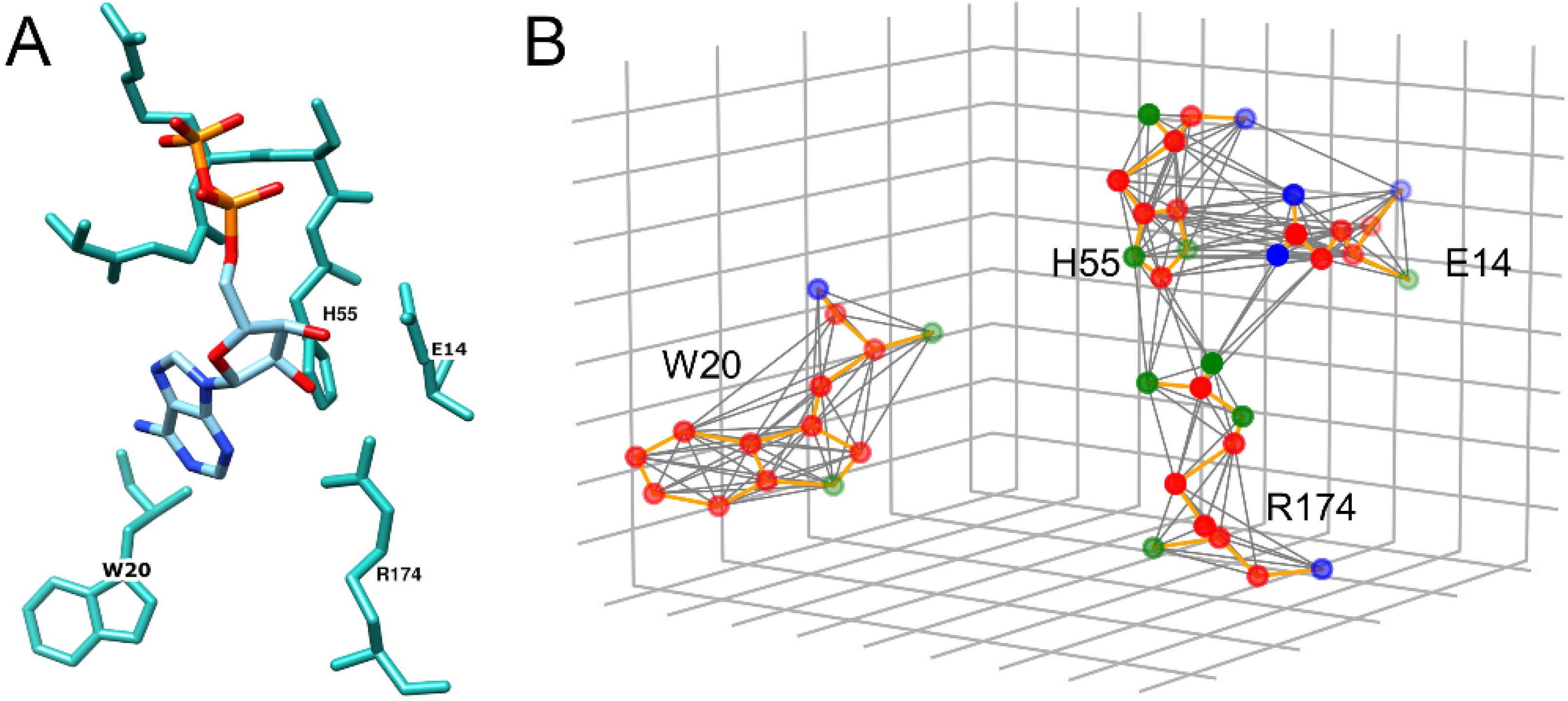 Biomolecules 12 01053 g001
