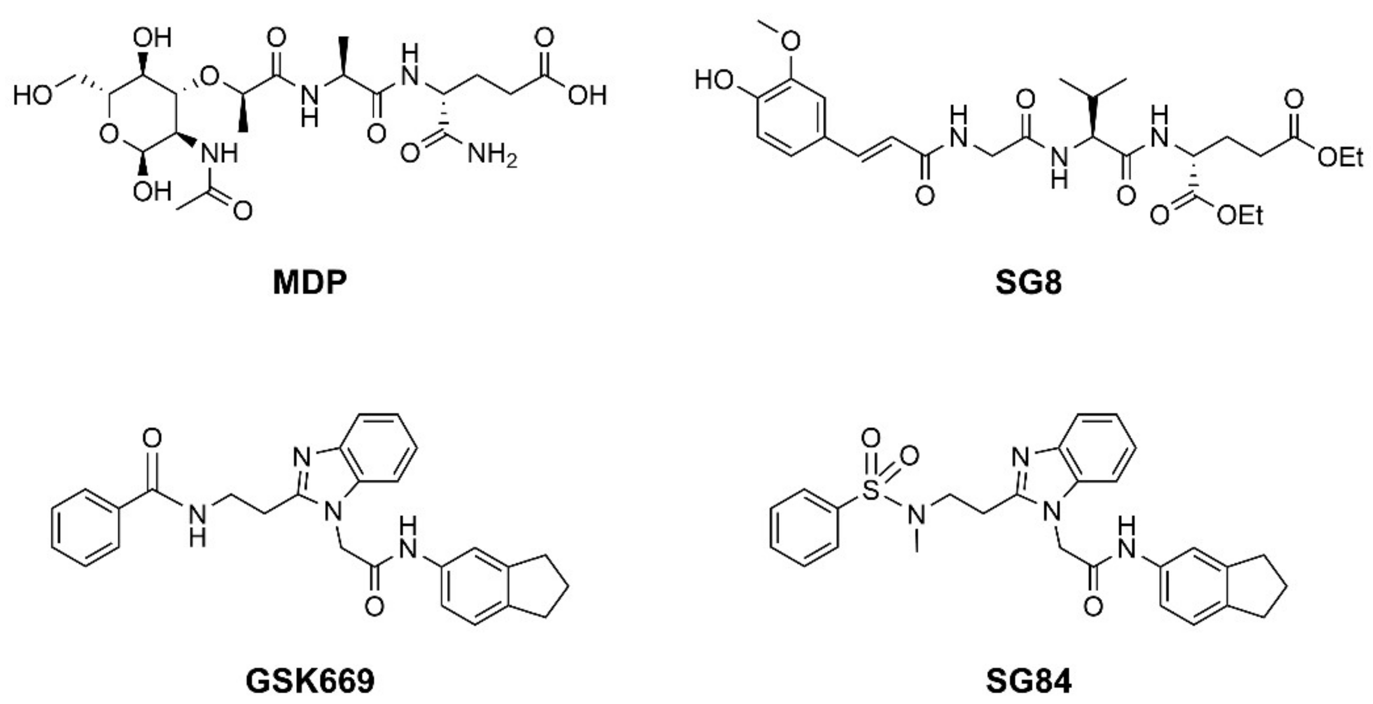 Biomolecules 12 01054 g001