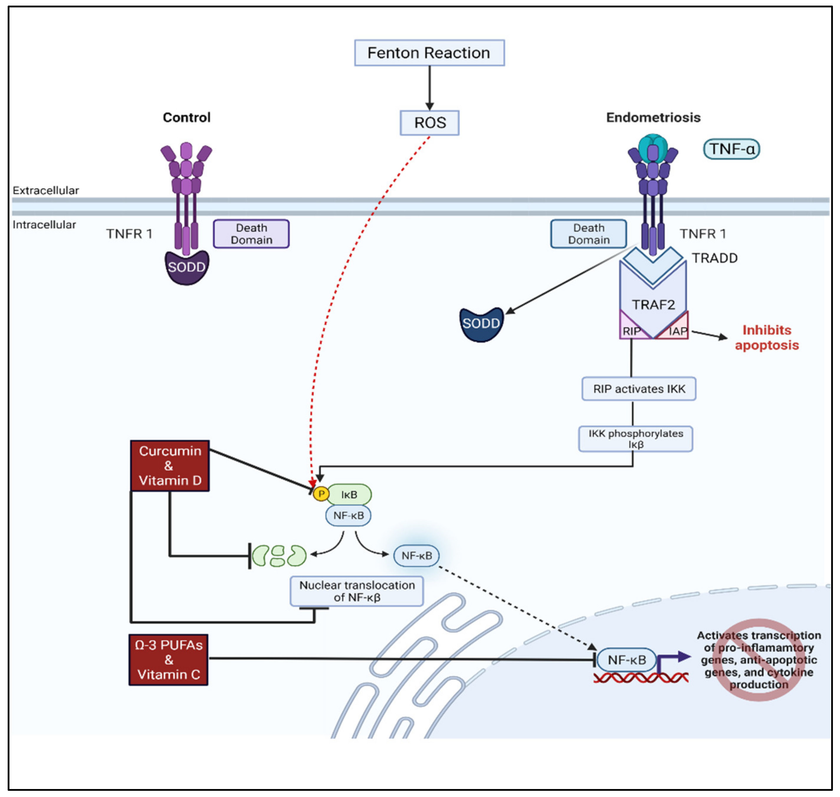 Biomolecules 12 01055 g004