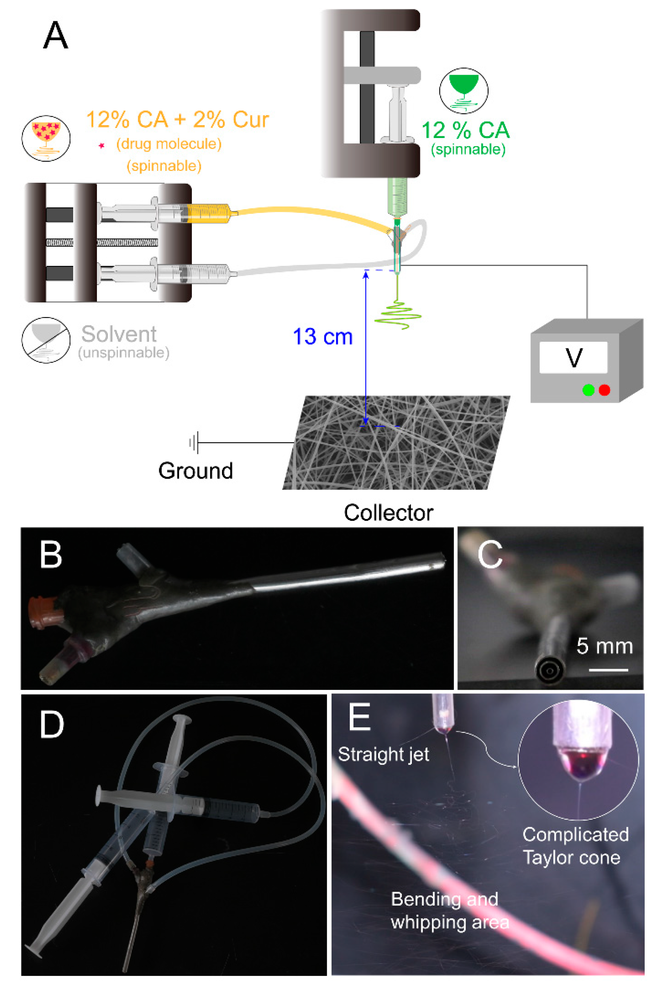 Biomolecules 12 01057 g002 550