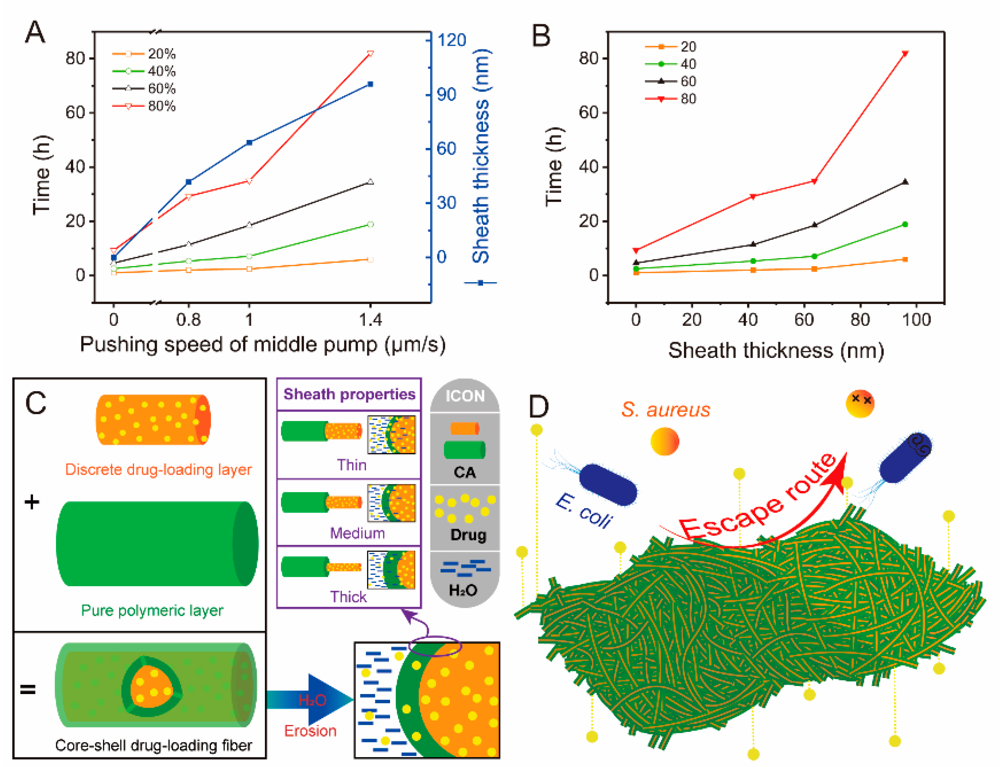 Biomolecules 12 01057 g008 550