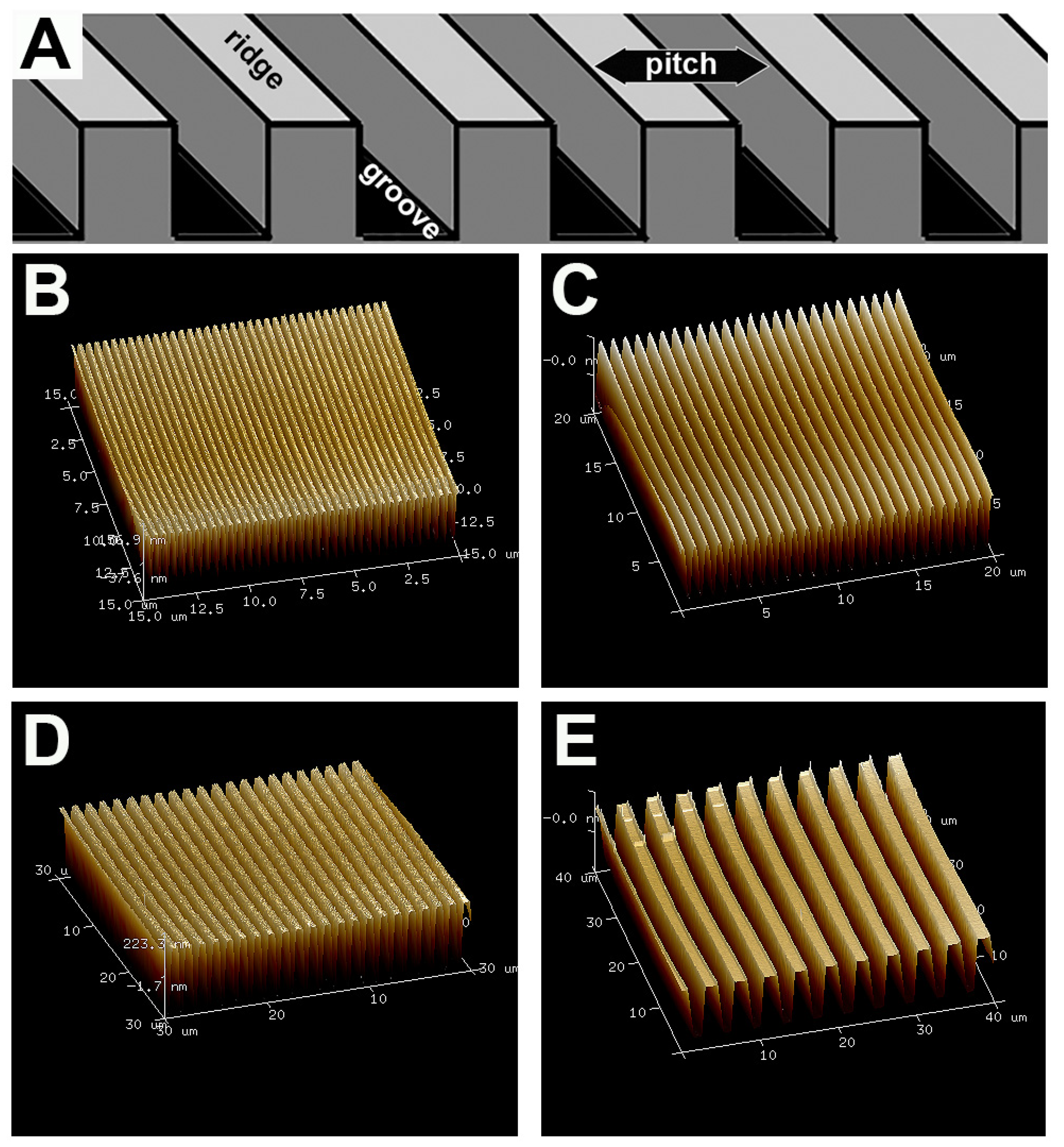 Biomolecules 12 01059 g001