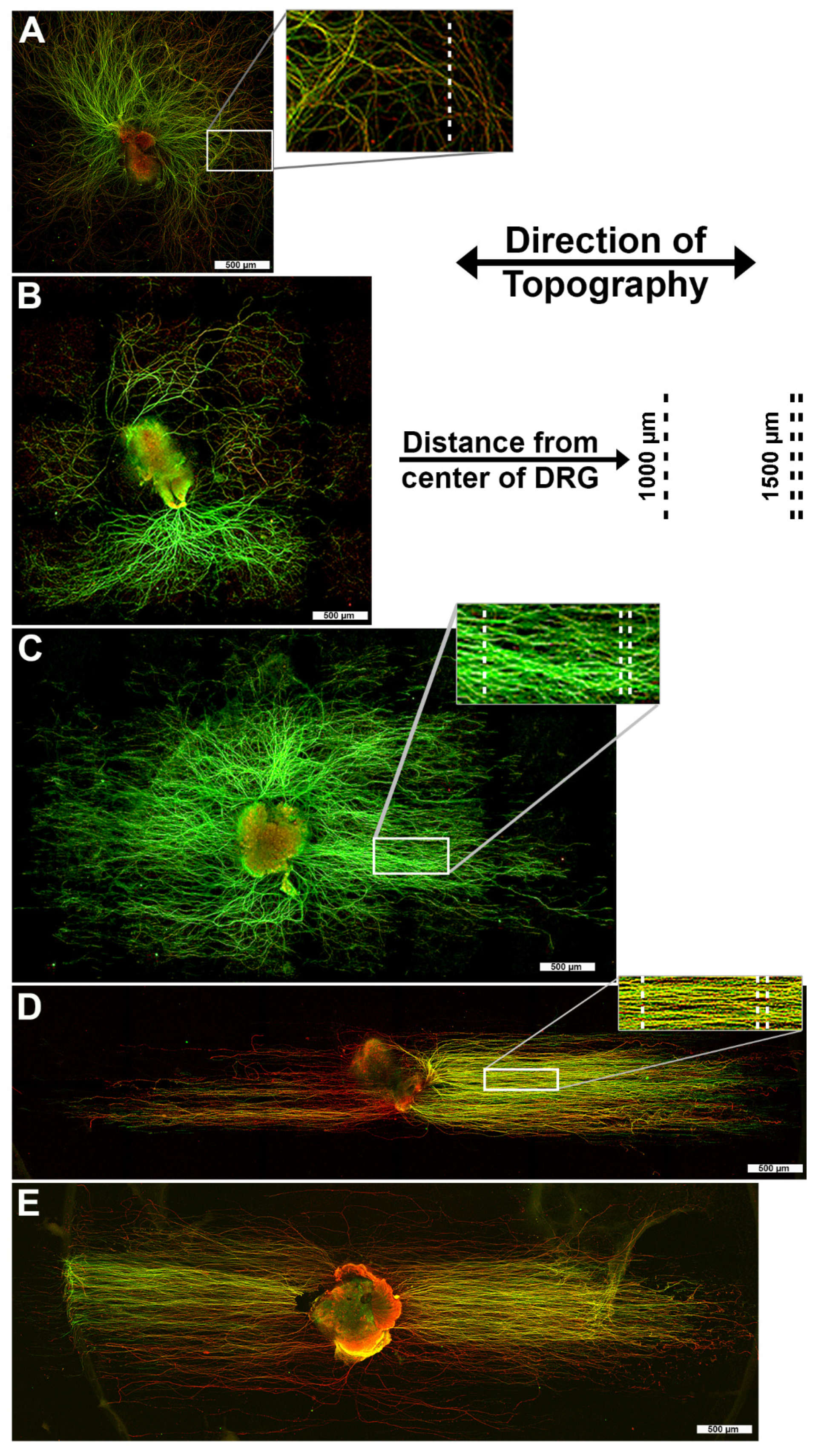 Biomolecules 12 01059 g002