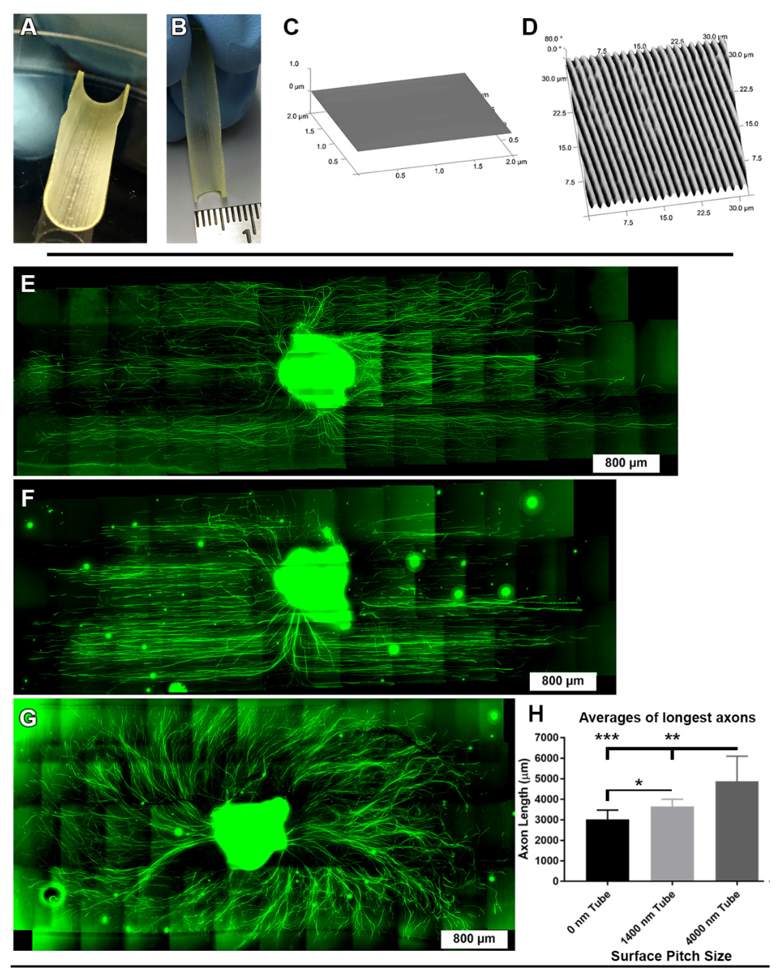 Biomolecules 12 01059 g007