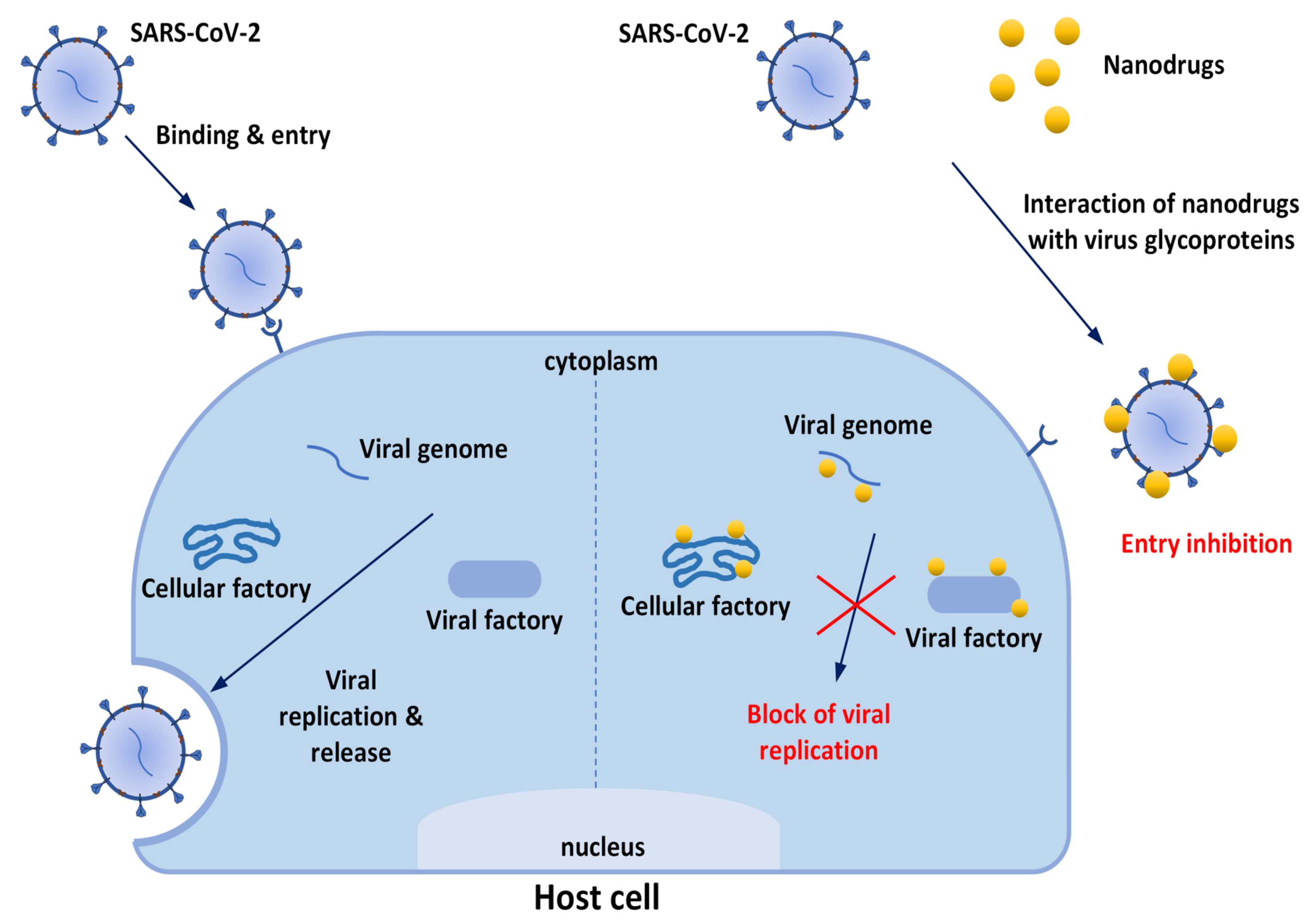 Biomolecules 12 01060 g002
