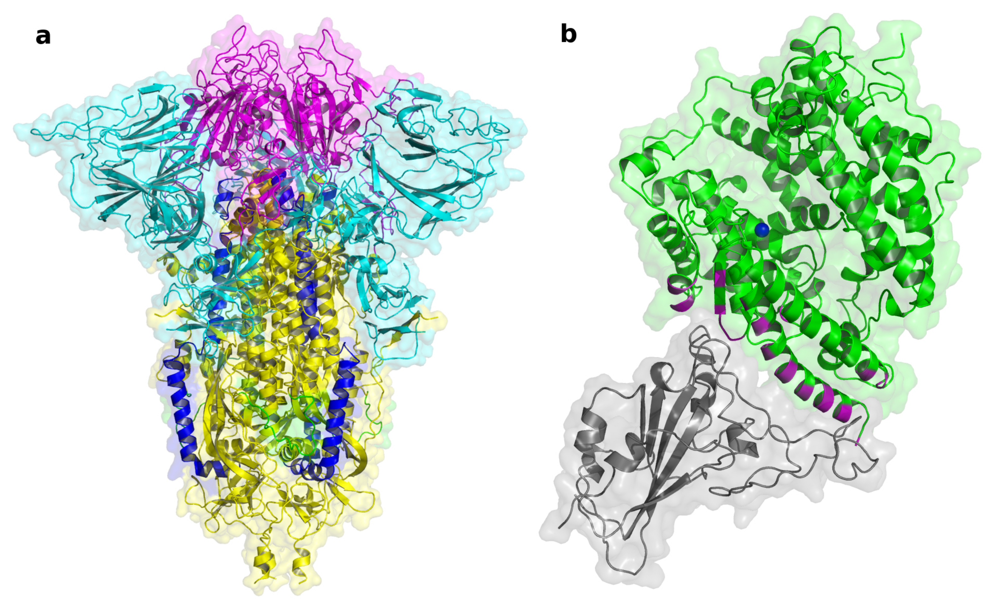 Biomolecules 12 01060 g003