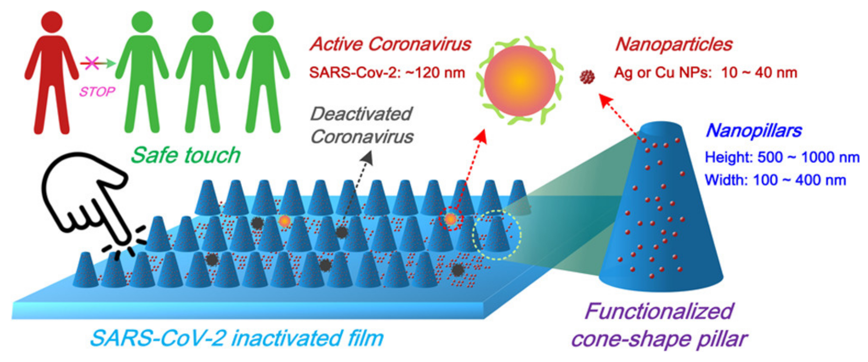Biomolecules 12 01060 g009