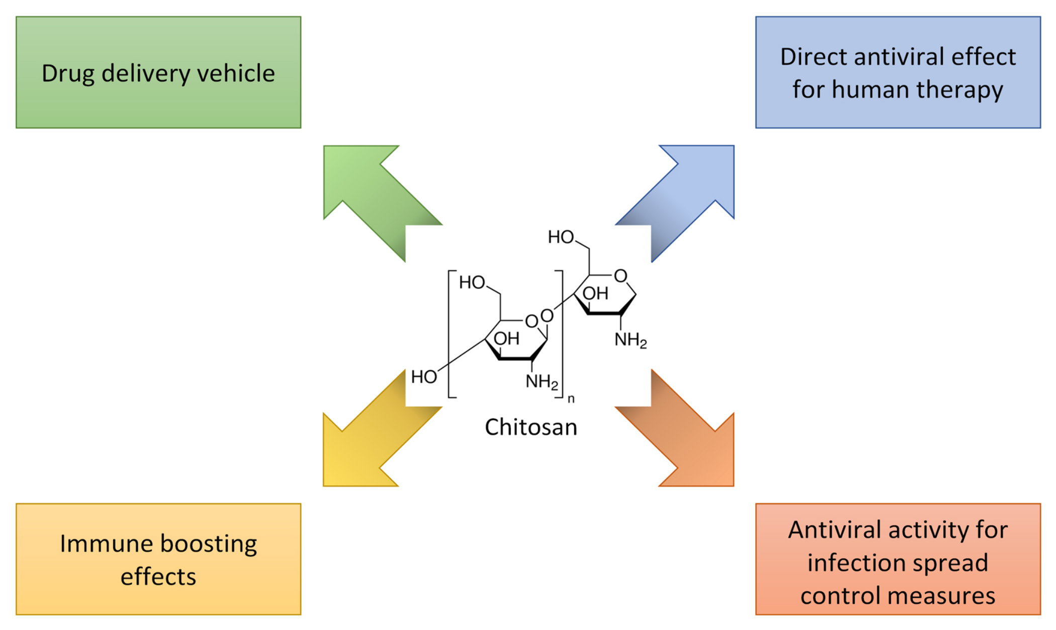 Biomolecules 12 01060 g010