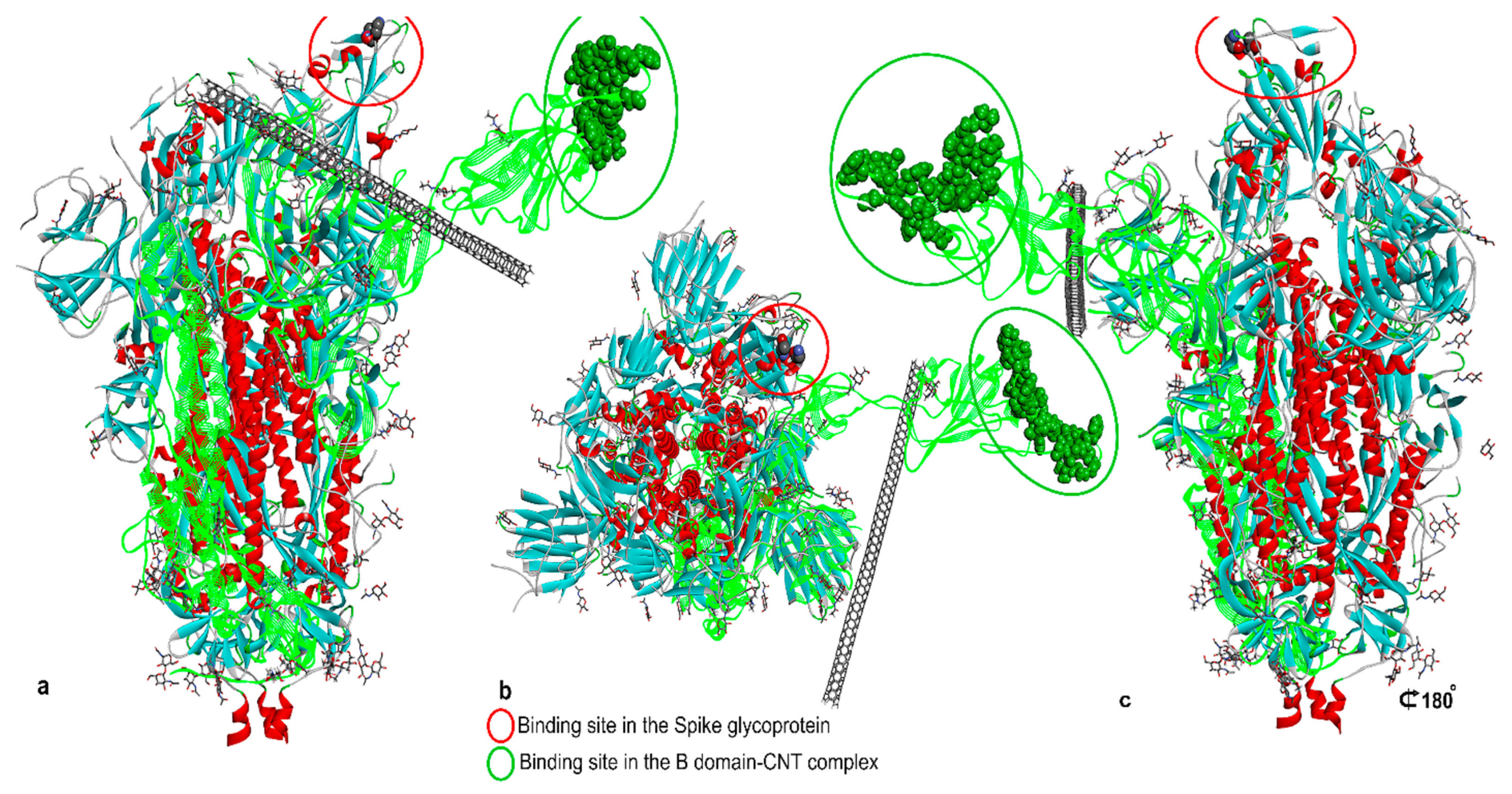 Biomolecules 12 01060 g012