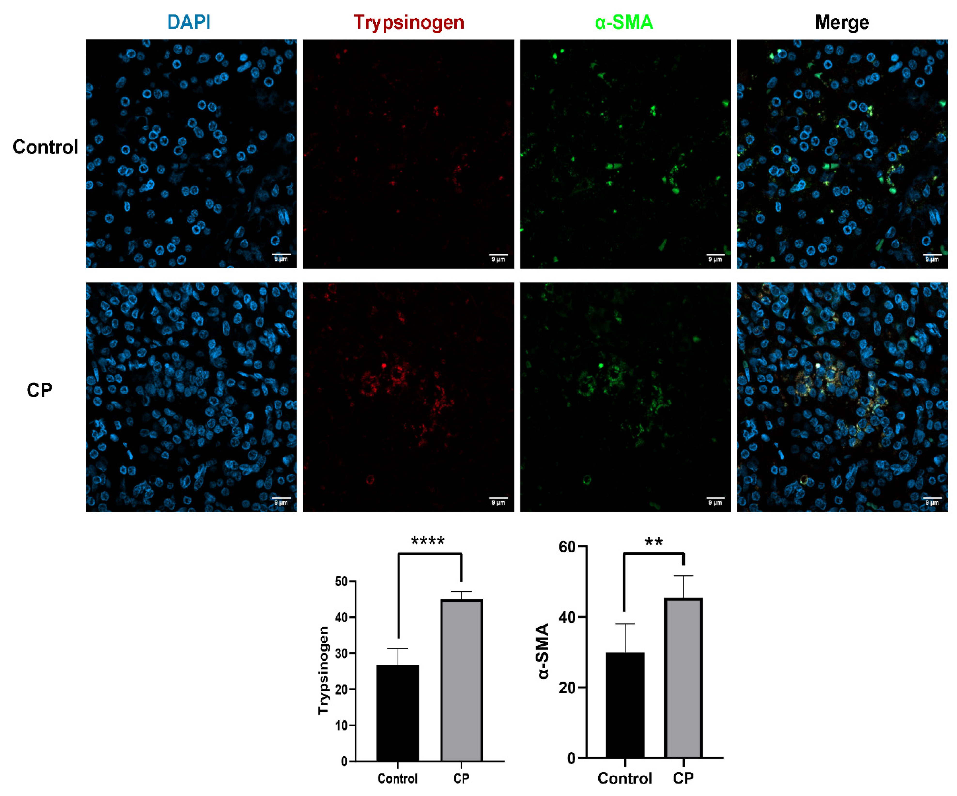 Biomolecules 12 01063 g001
