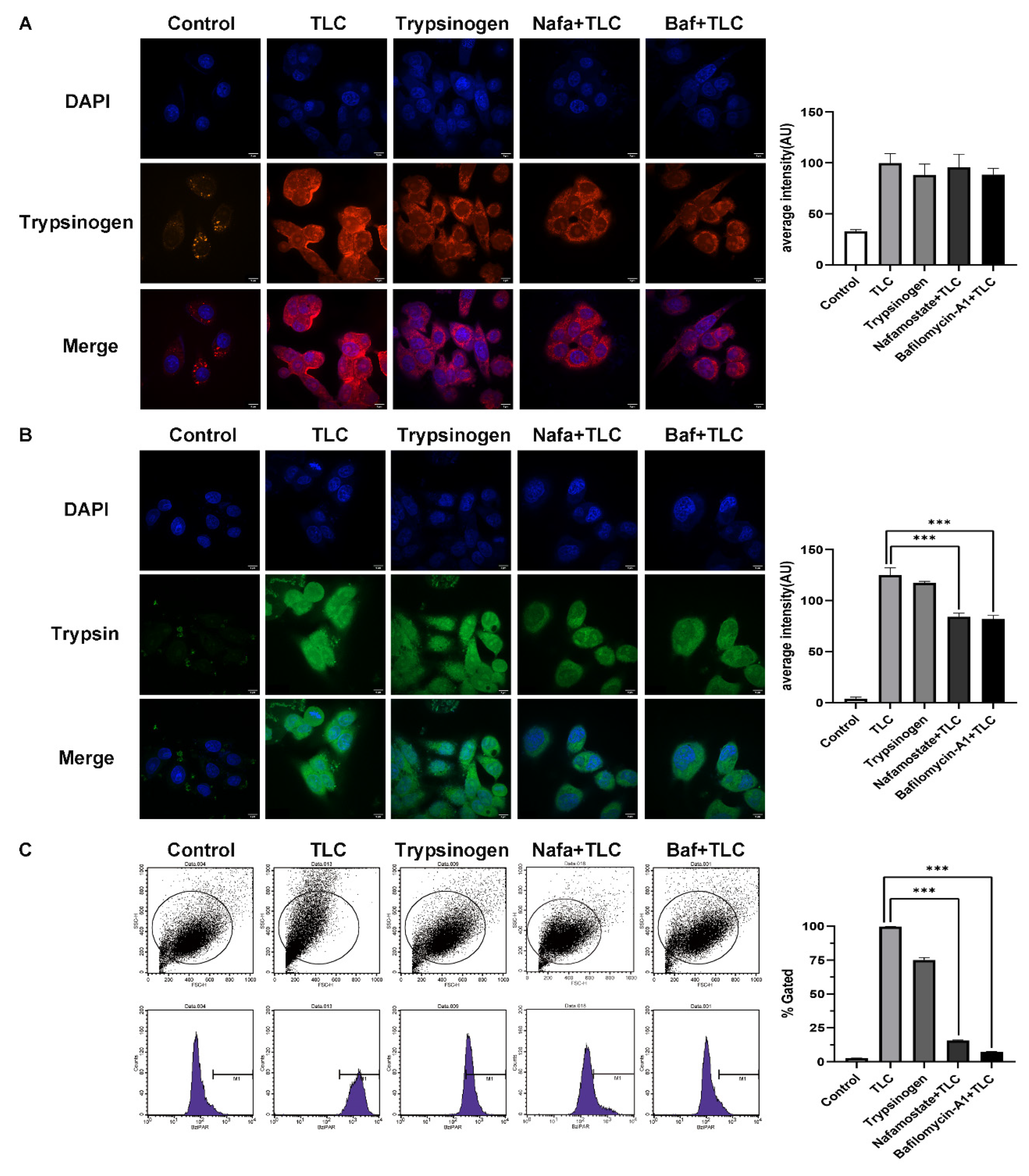 Biomolecules 12 01063 g005
