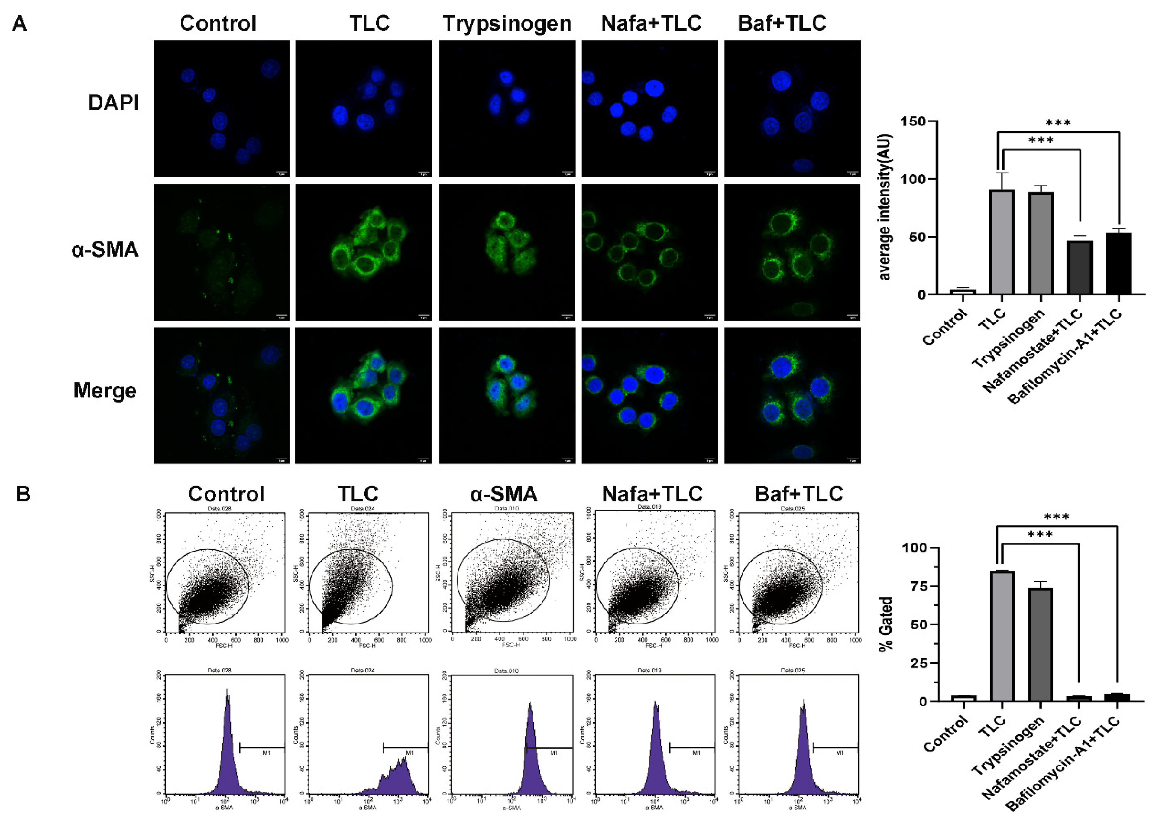 Biomolecules 12 01063 g006