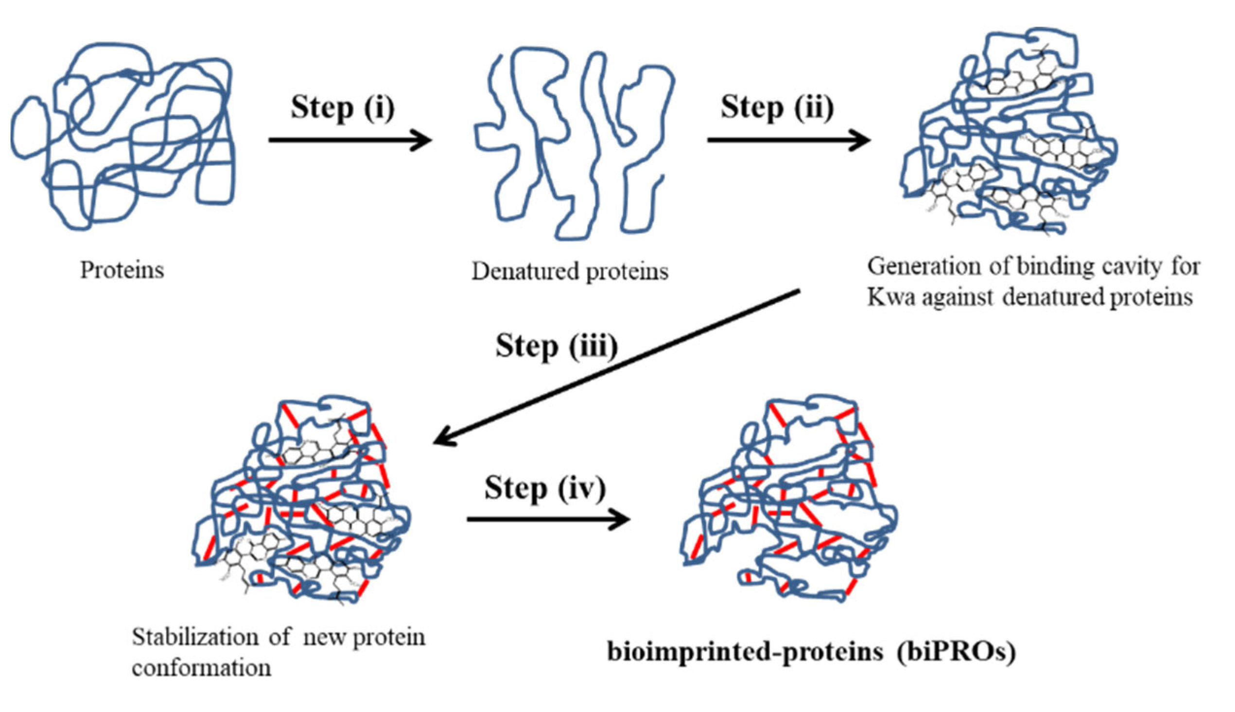Biomolecules 12 01064 g001