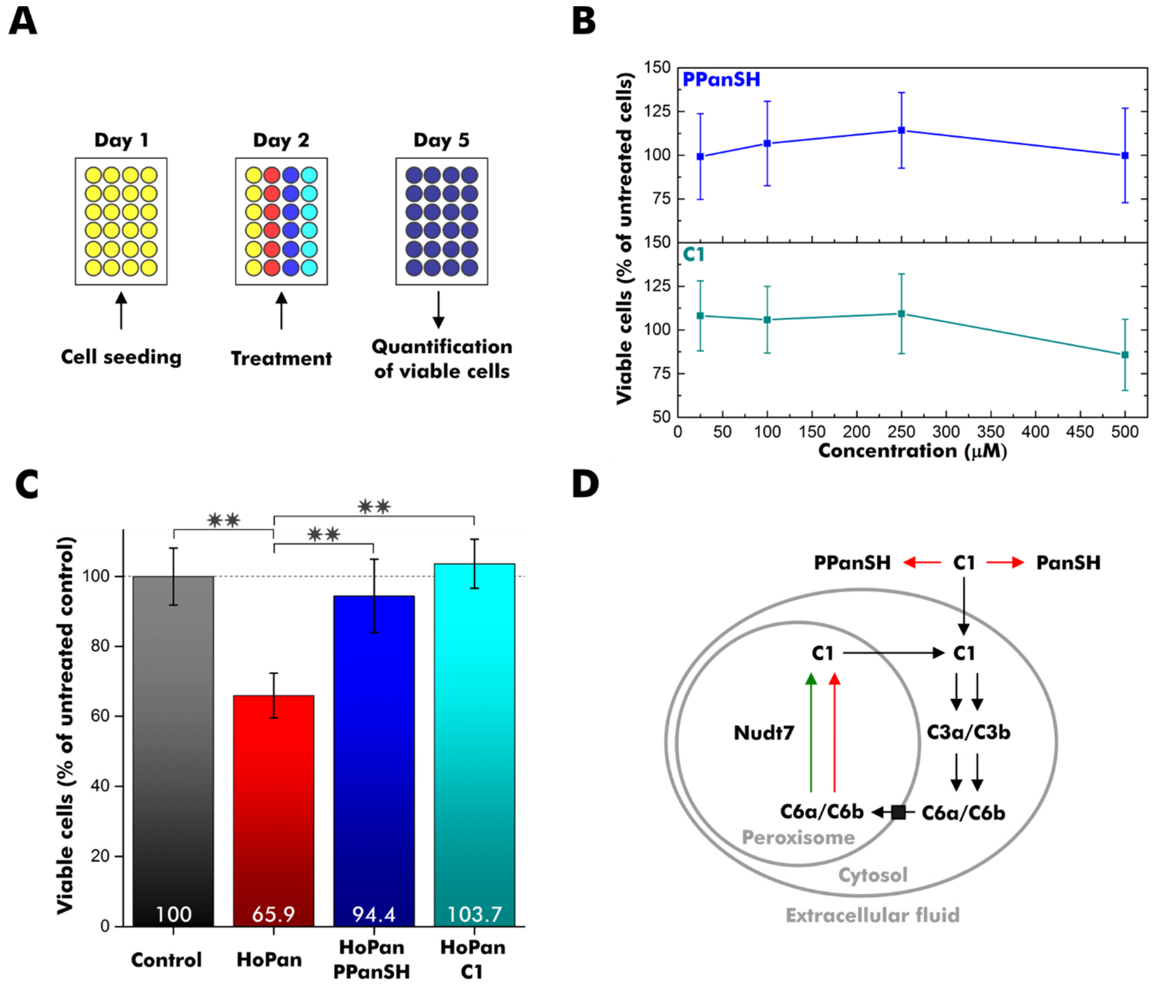 Biomolecules 12 01065 g003