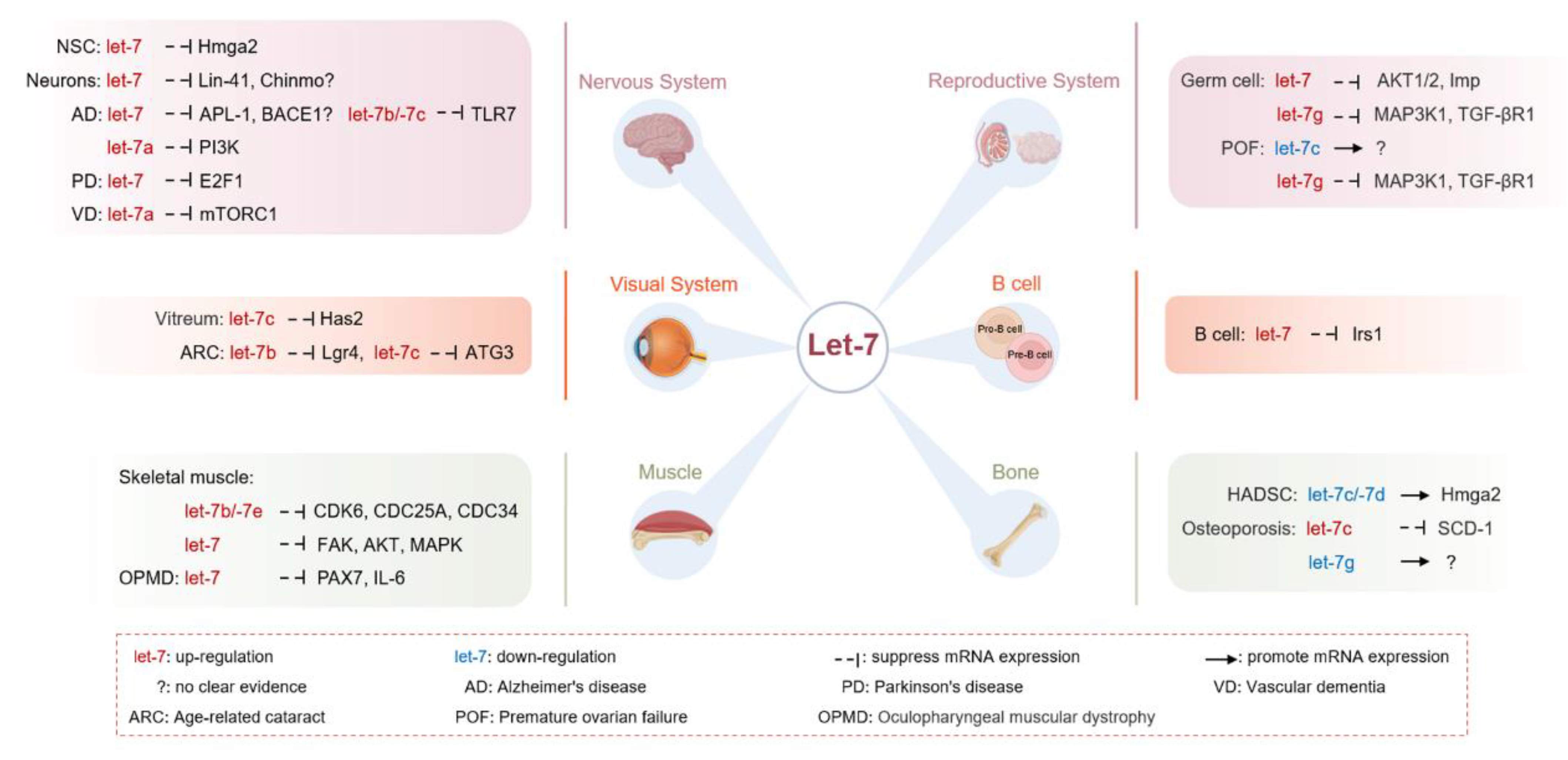 Biomolecules 12 01070 g003