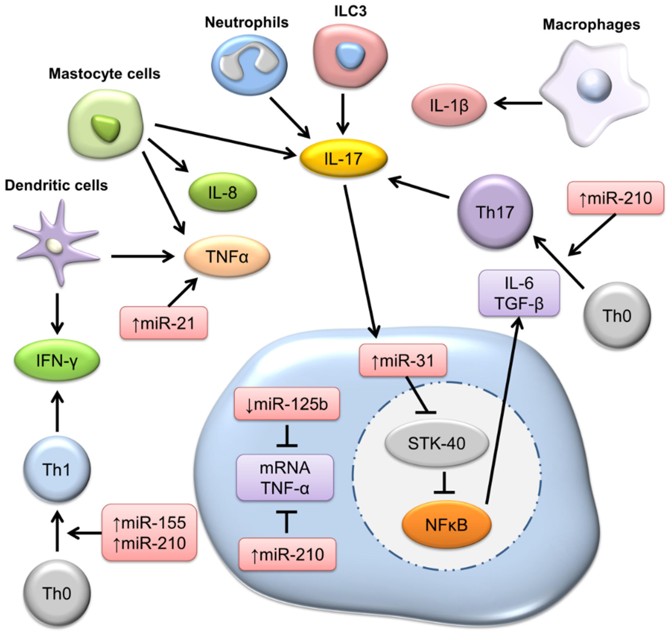 Biomolecules 12 01072 g003