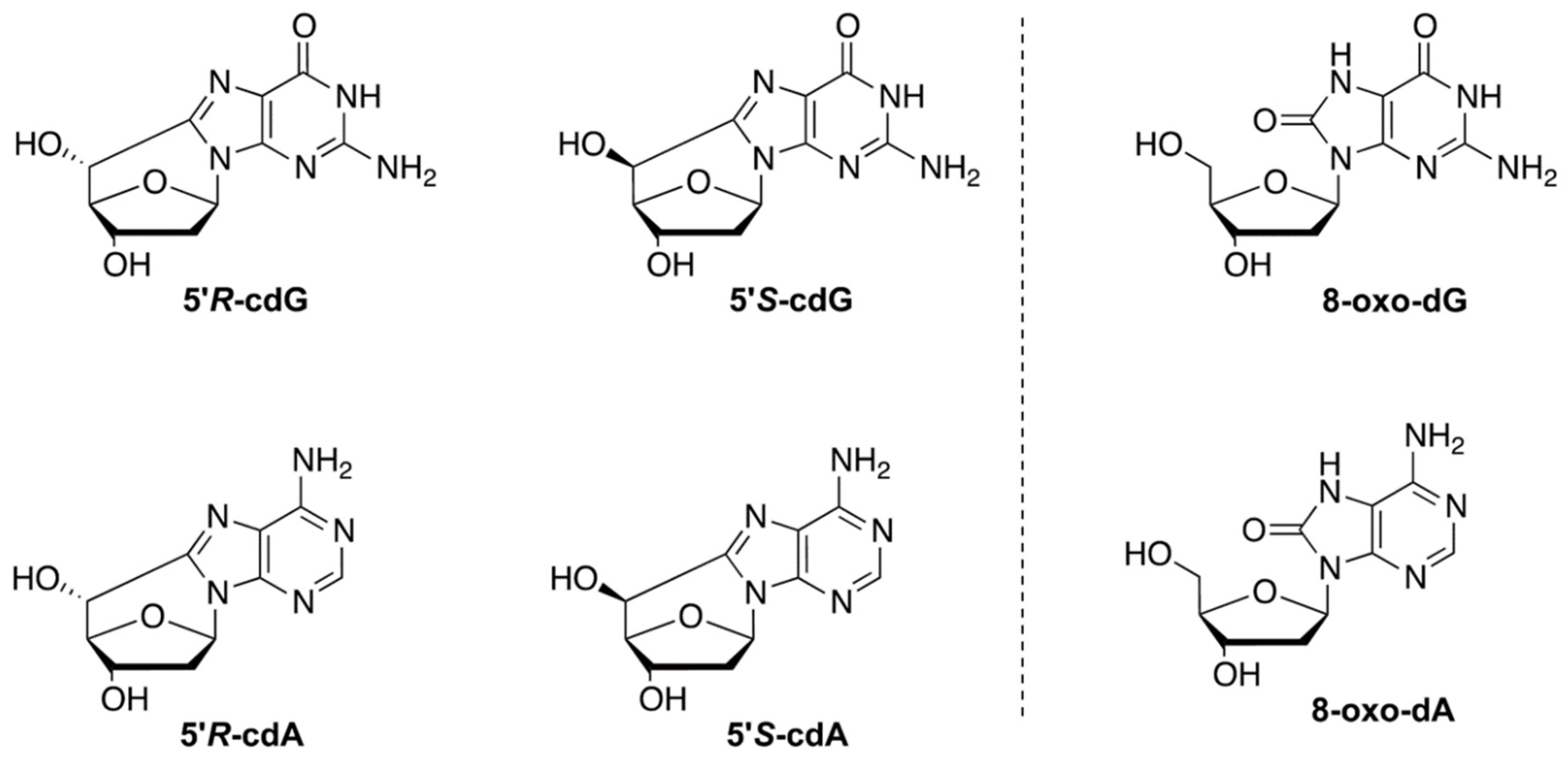 Biomolecules 12 01075 g001 550