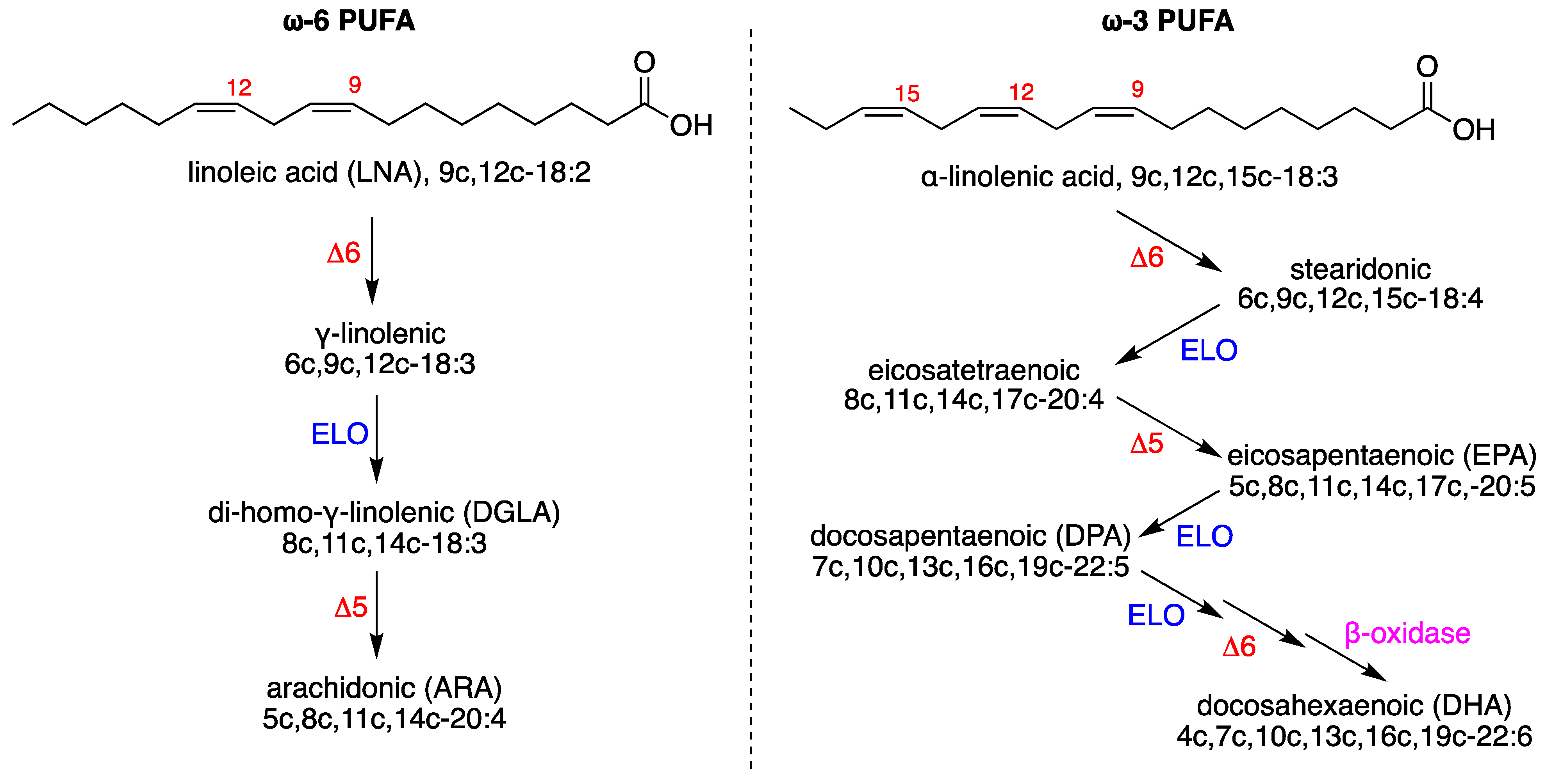 Biomolecules 12 01075 g002 550