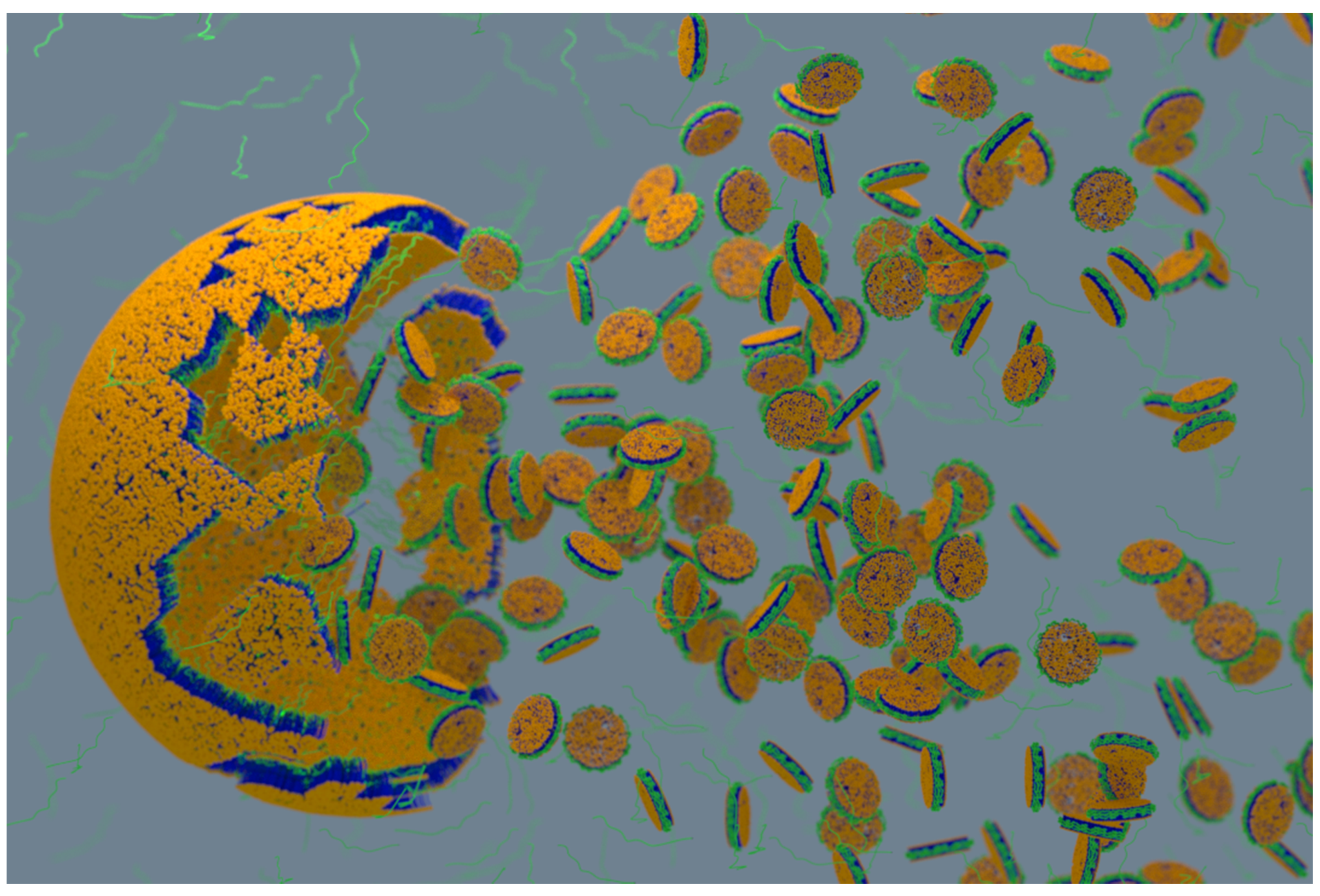 Biomolecules 12 01076 g006 Biomolecules 12 01076 g006
