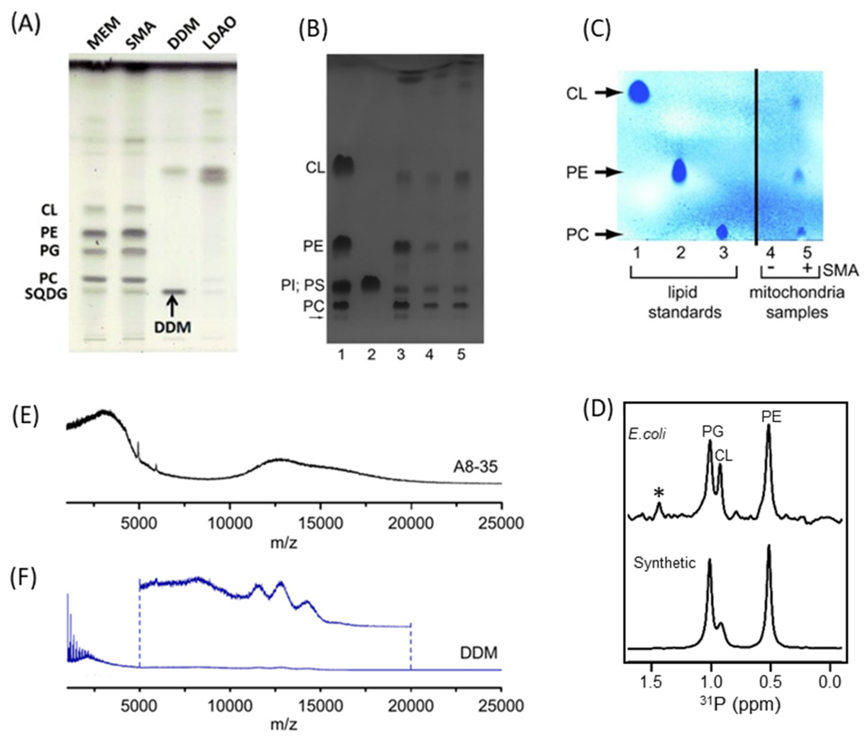 Biomolecules 12 01076 g007 Biomolecules 12 01076 g007